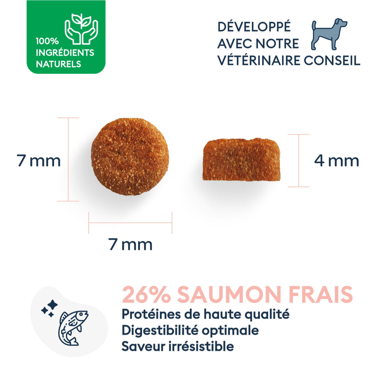 MARLY&DAN Puppy&Junior Small Breed, XS-S, Somon, hrană uscată fără cereale câini junior, 4kg - 2 | YEO