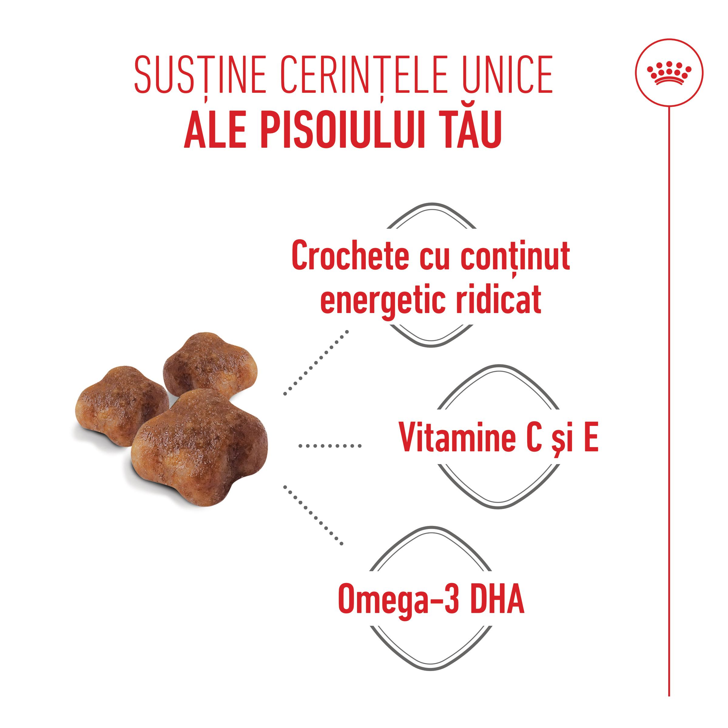 PROMO ROYAL CANIN Mother &amp; BabyCat, hrană uscată pisici, mama și puiul, 2kg + 400g GRATUIT