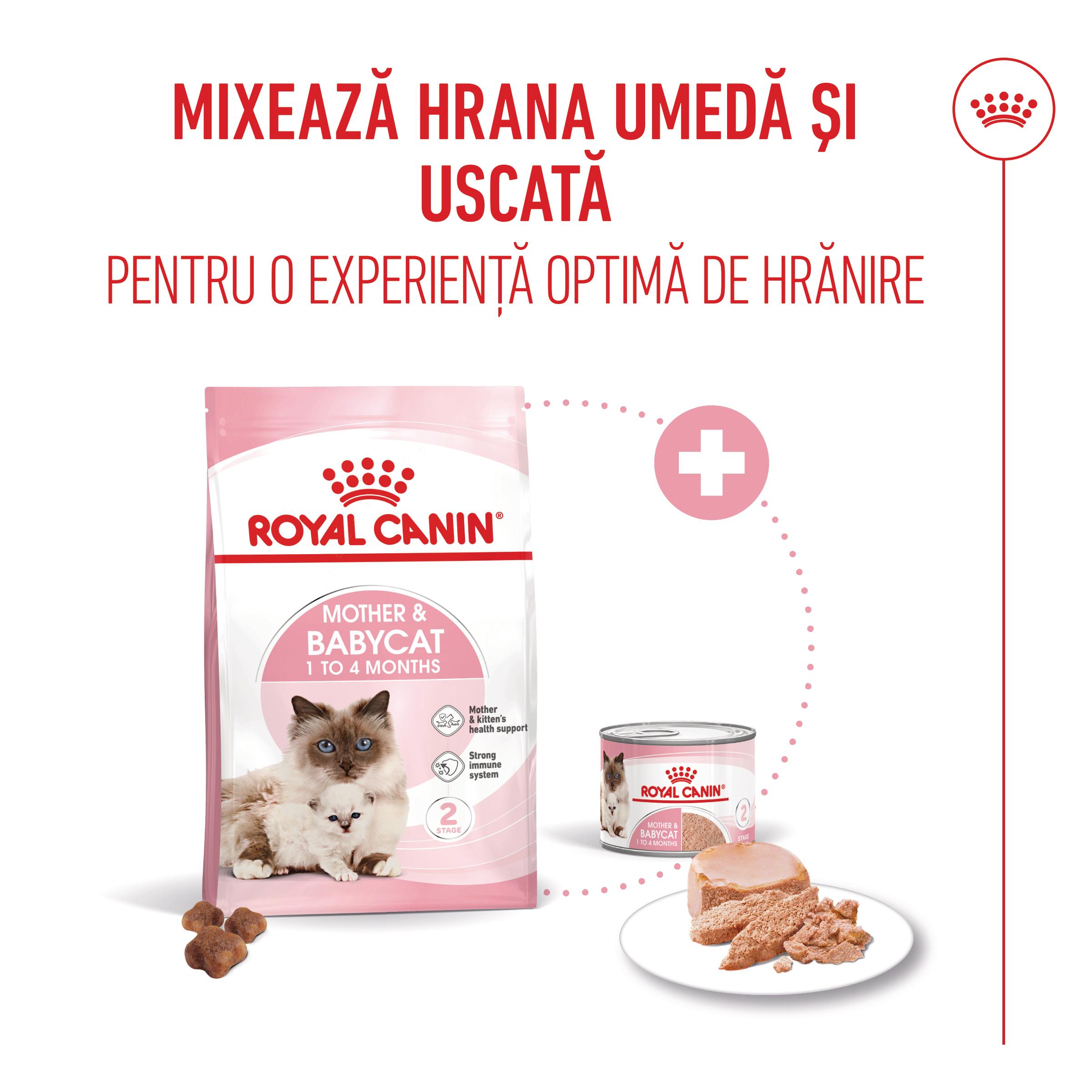 PROMO ROYAL CANIN Mother &amp; BabyCat, hrană uscată pisici, mama și puiul, 2kg + 400g GRATUIT