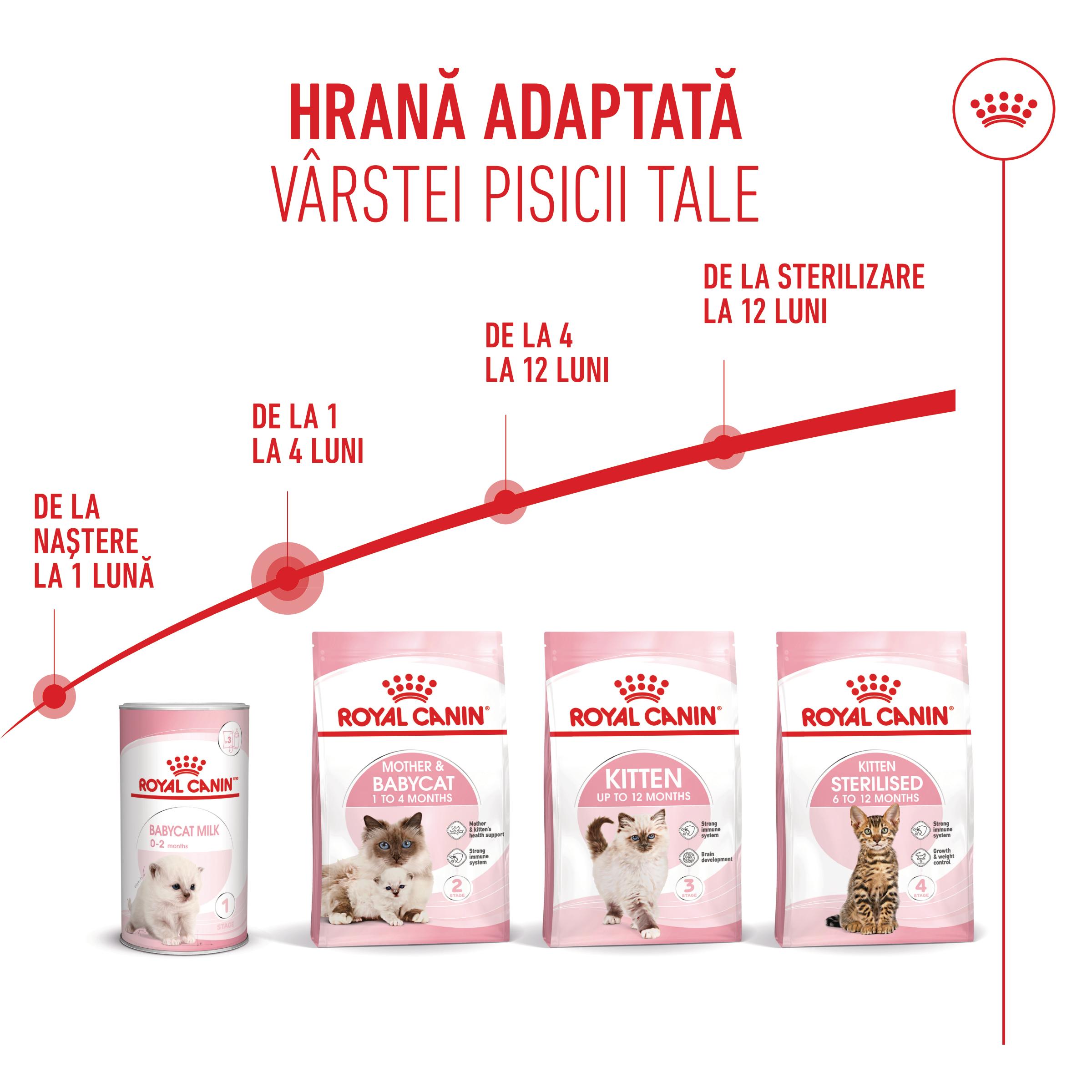 PROMO ROYAL CANIN Mother &amp; BabyCat, hrană uscată pisici, mama și puiul, 2kg + 400g GRATUIT