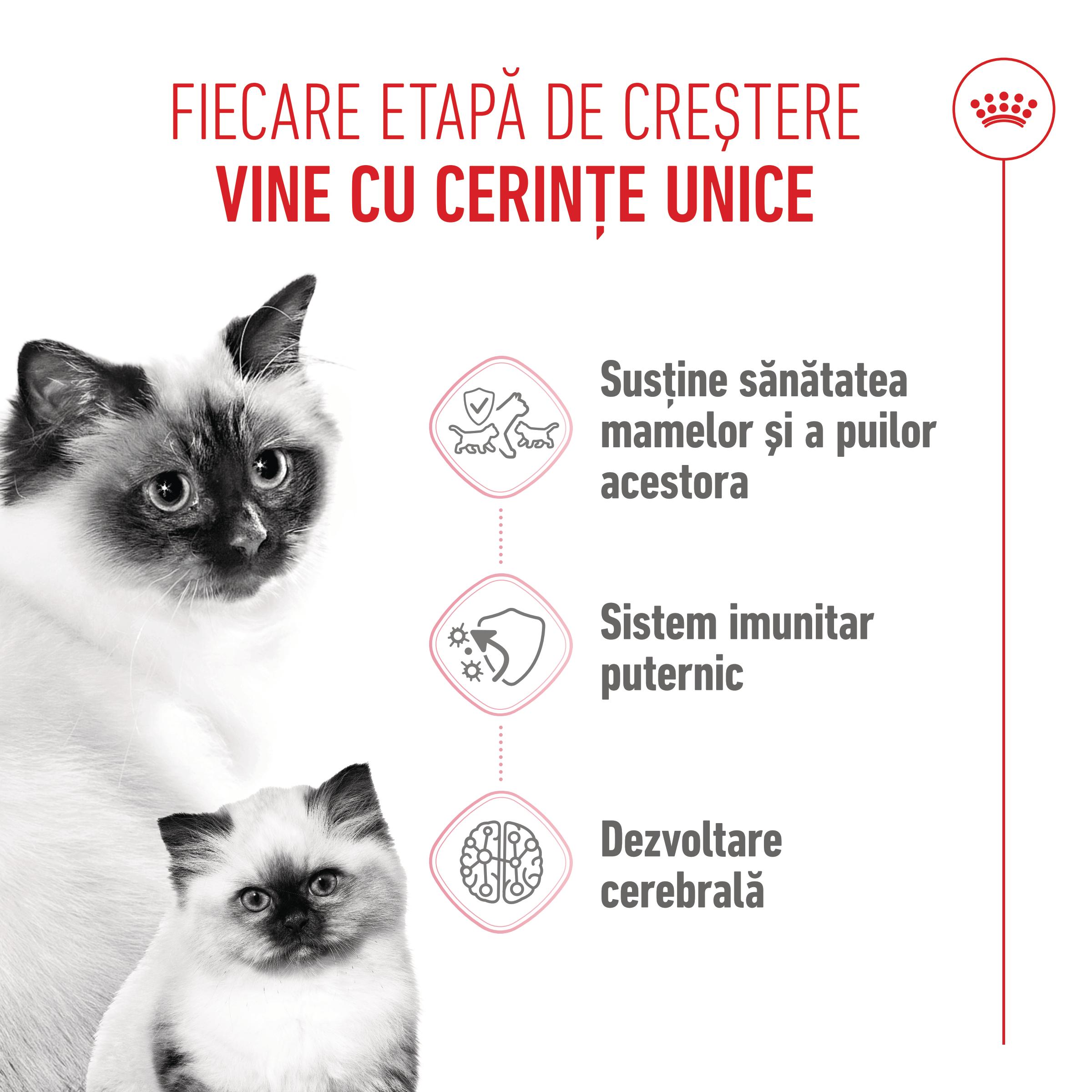 PROMO ROYAL CANIN Mother &amp; BabyCat, hrană uscată pisici, mama și puiul, 400g, 60% REDUCERE la al Doilea Produs