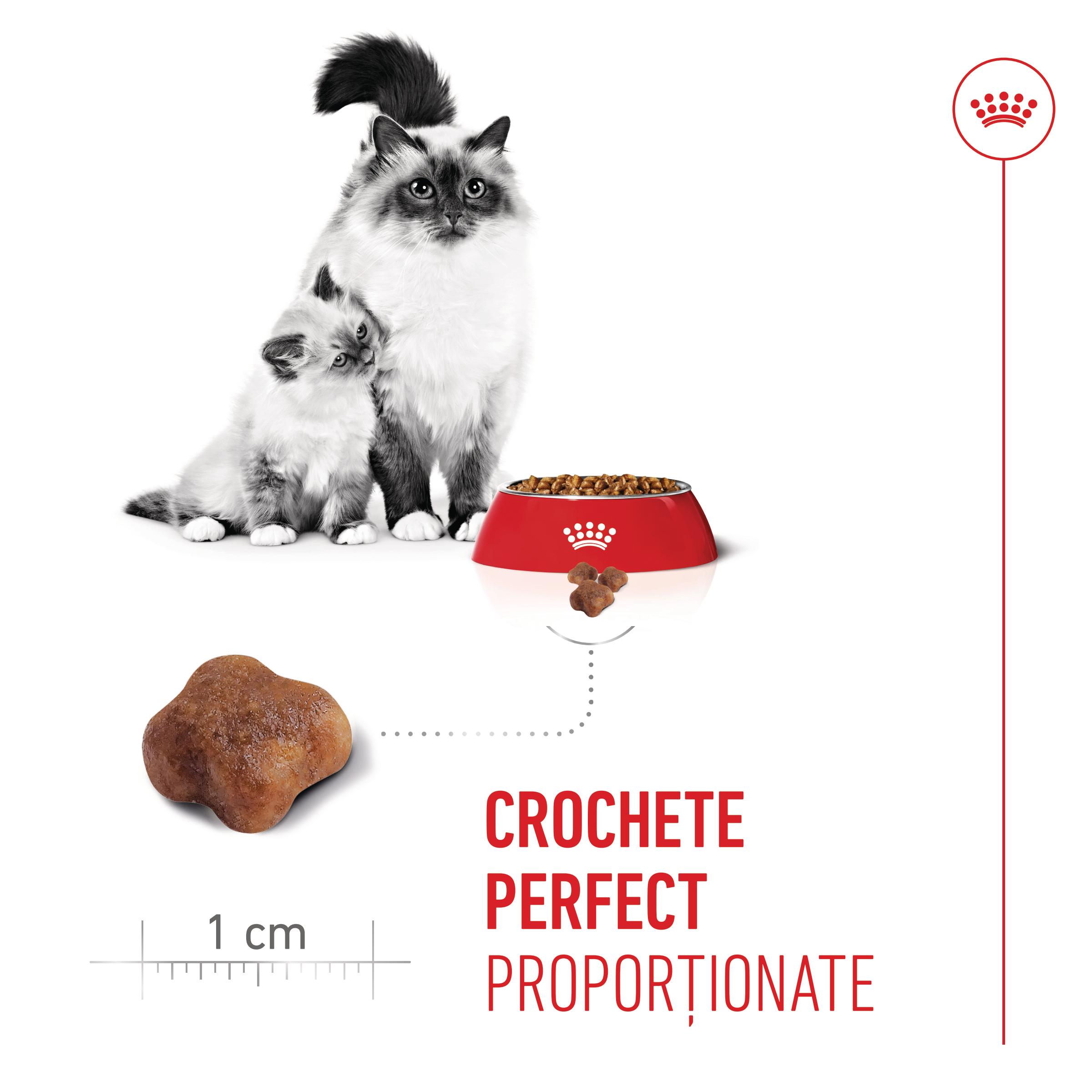 PROMO ROYAL CANIN Mother &amp; BabyCat, hrană uscată pisici, mama și puiul, 400g, 60% REDUCERE la al Doilea Produs
