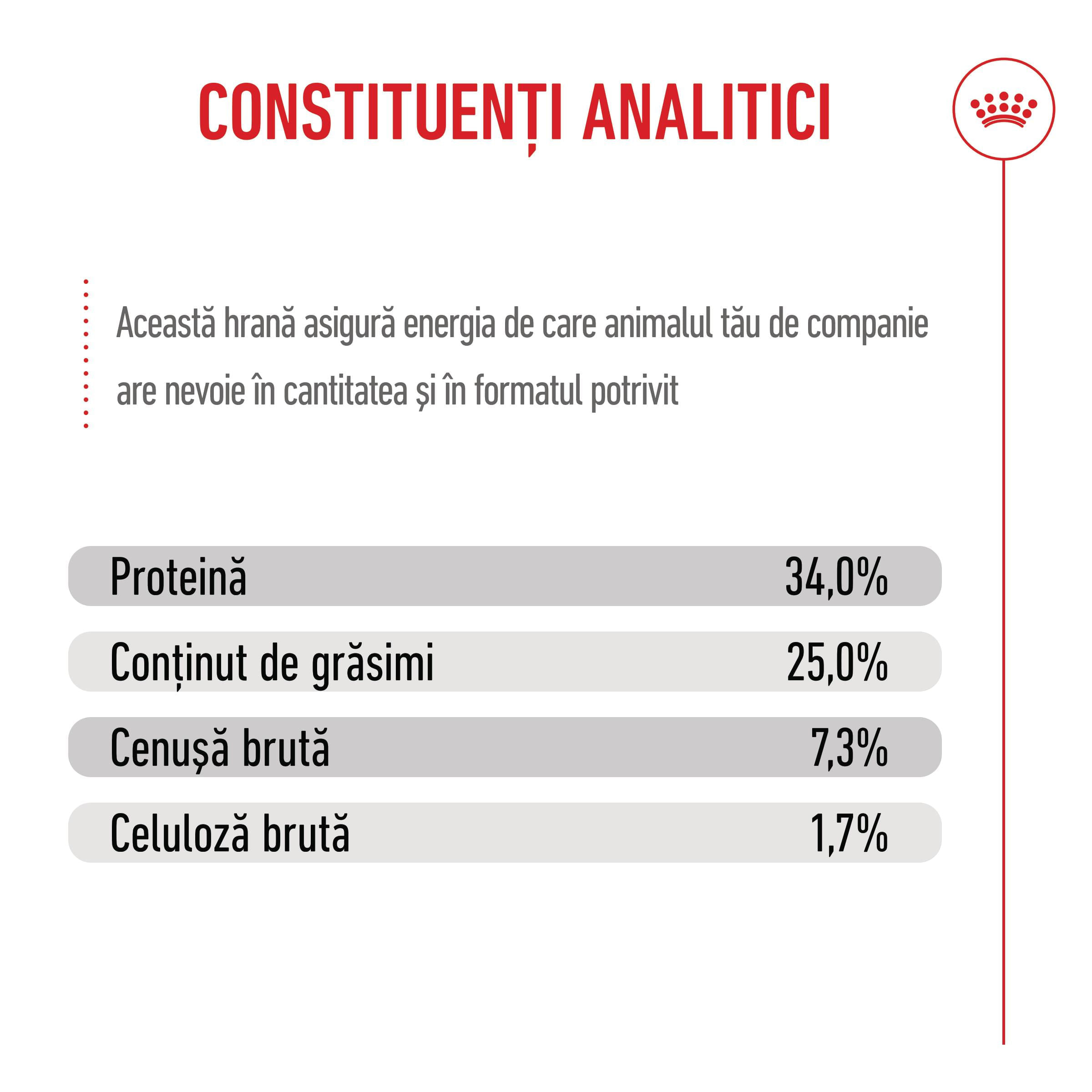 PROMO ROYAL CANIN Mother &amp; BabyCat, hrană uscată pisici, mama și puiul, 400g, 60% REDUCERE la al Doilea Produs