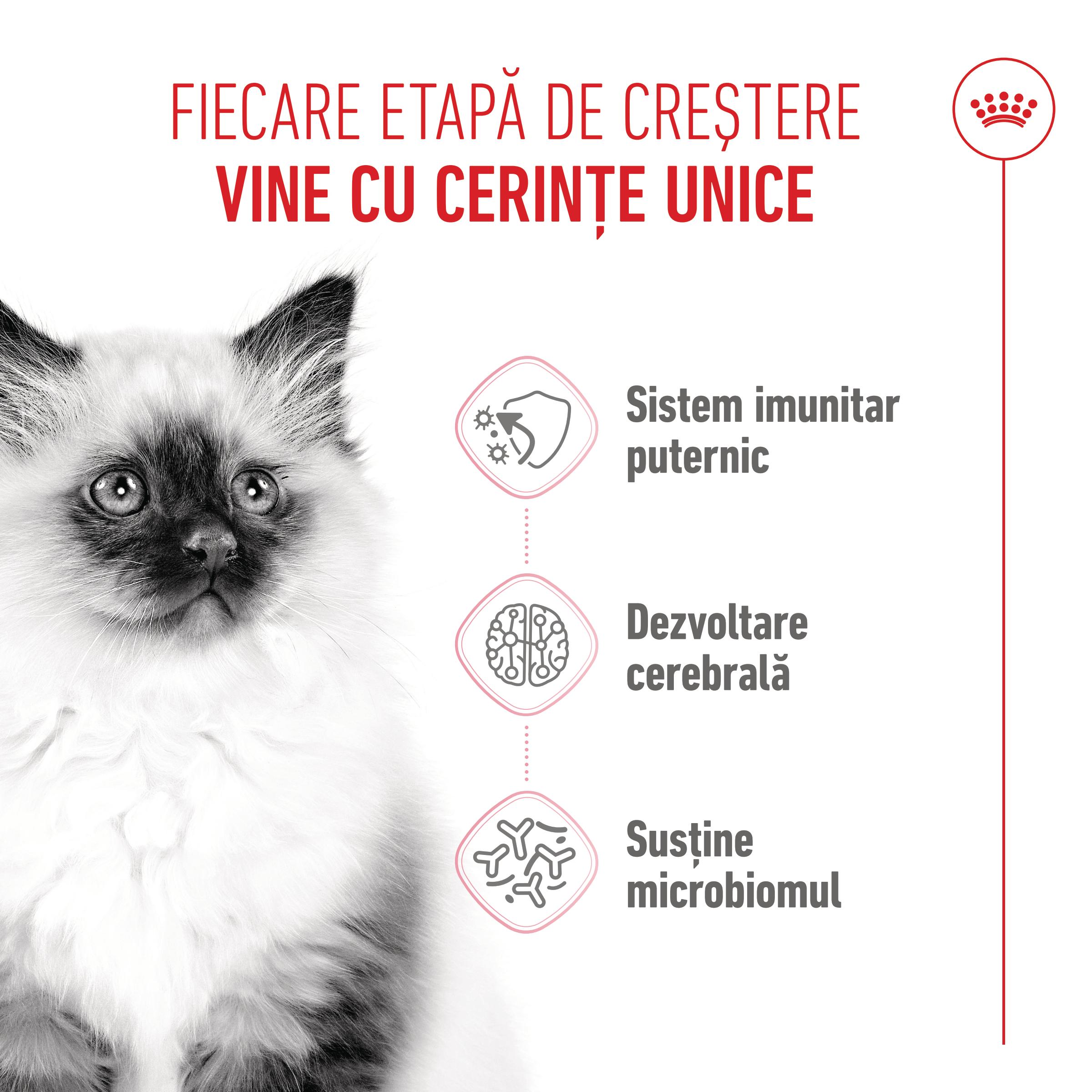PROMO ROYAL CANIN Kitten, hrană uscată pisici junior, 400g, 60% REDUCERE la al Doilea Produs