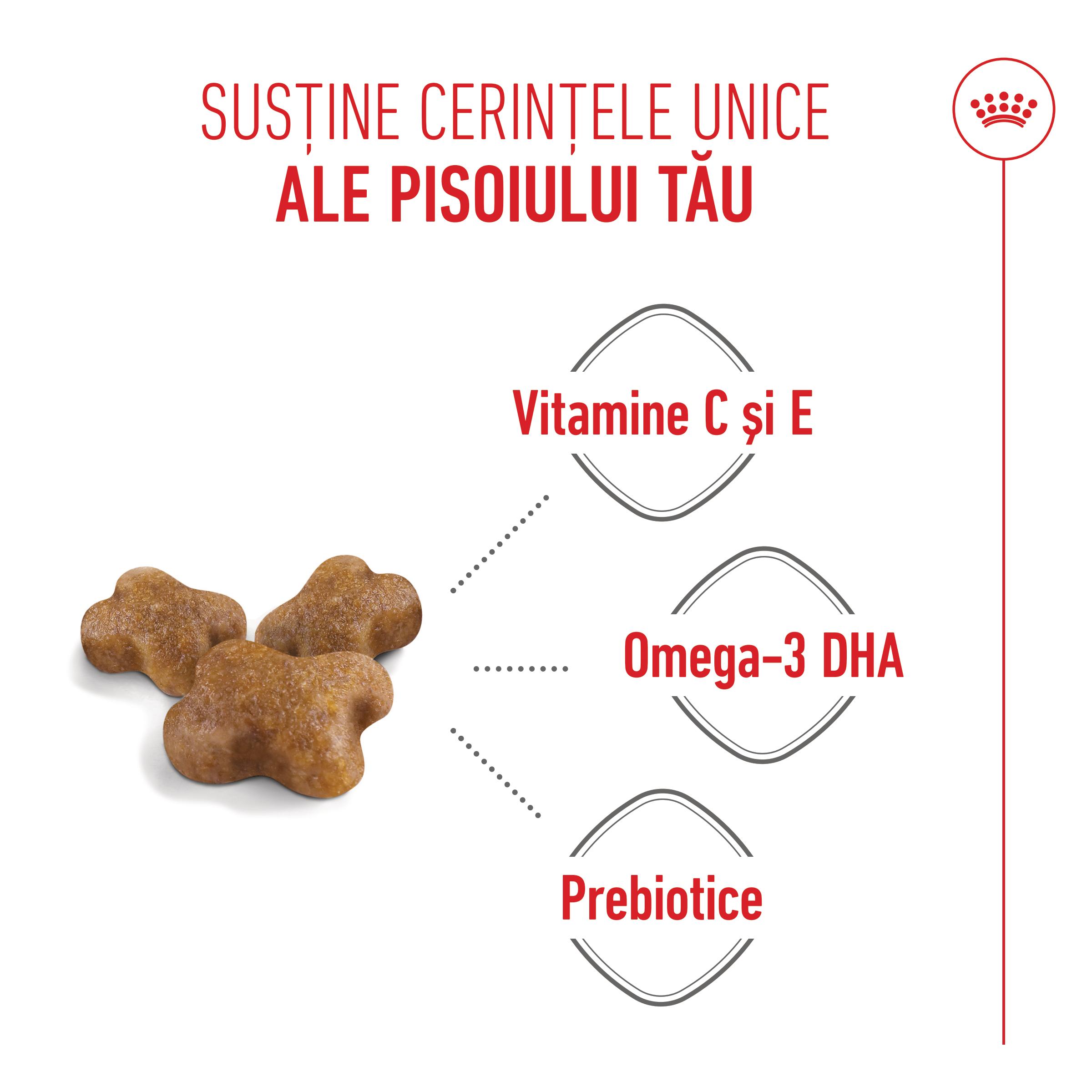 PROMO ROYAL CANIN Kitten, hrană uscată pisici junior, 400g, 60% REDUCERE la al Doilea Produs