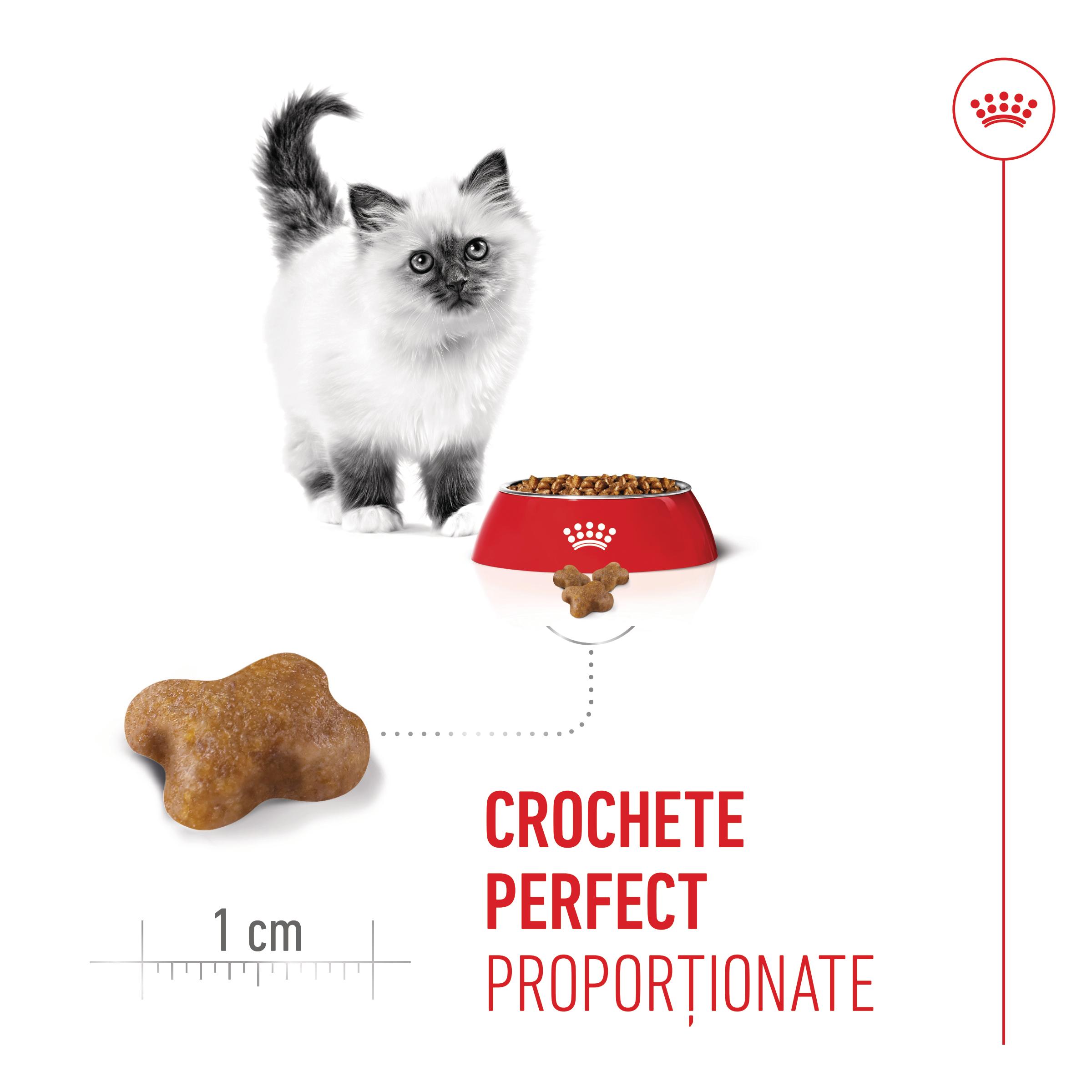 PROMO ROYAL CANIN Kitten, hrană uscată pisici junior, 400g, 60% REDUCERE la al Doilea Produs
