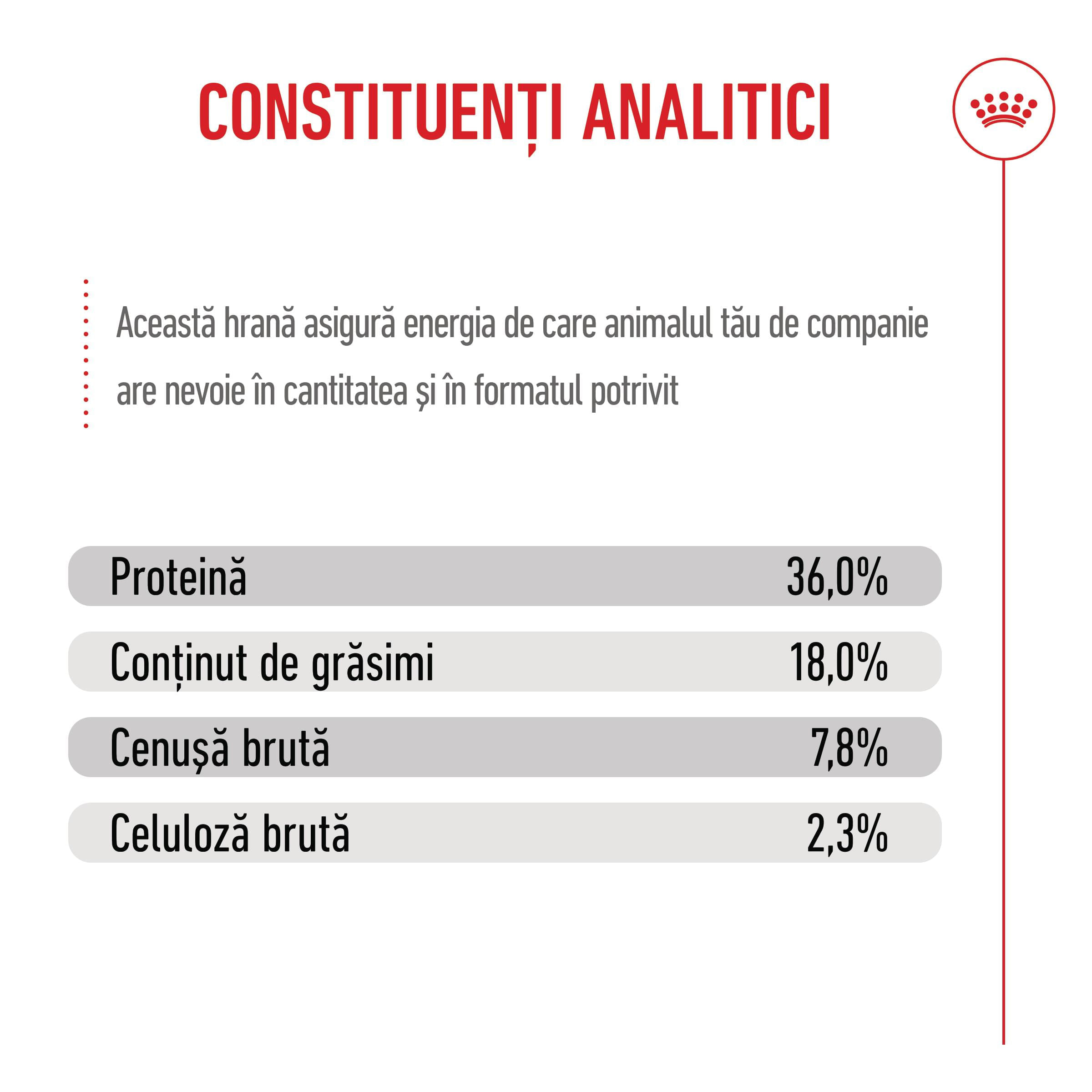 PROMO ROYAL CANIN Kitten, hrană uscată pisici junior, 400g, 60% REDUCERE la al Doilea Produs