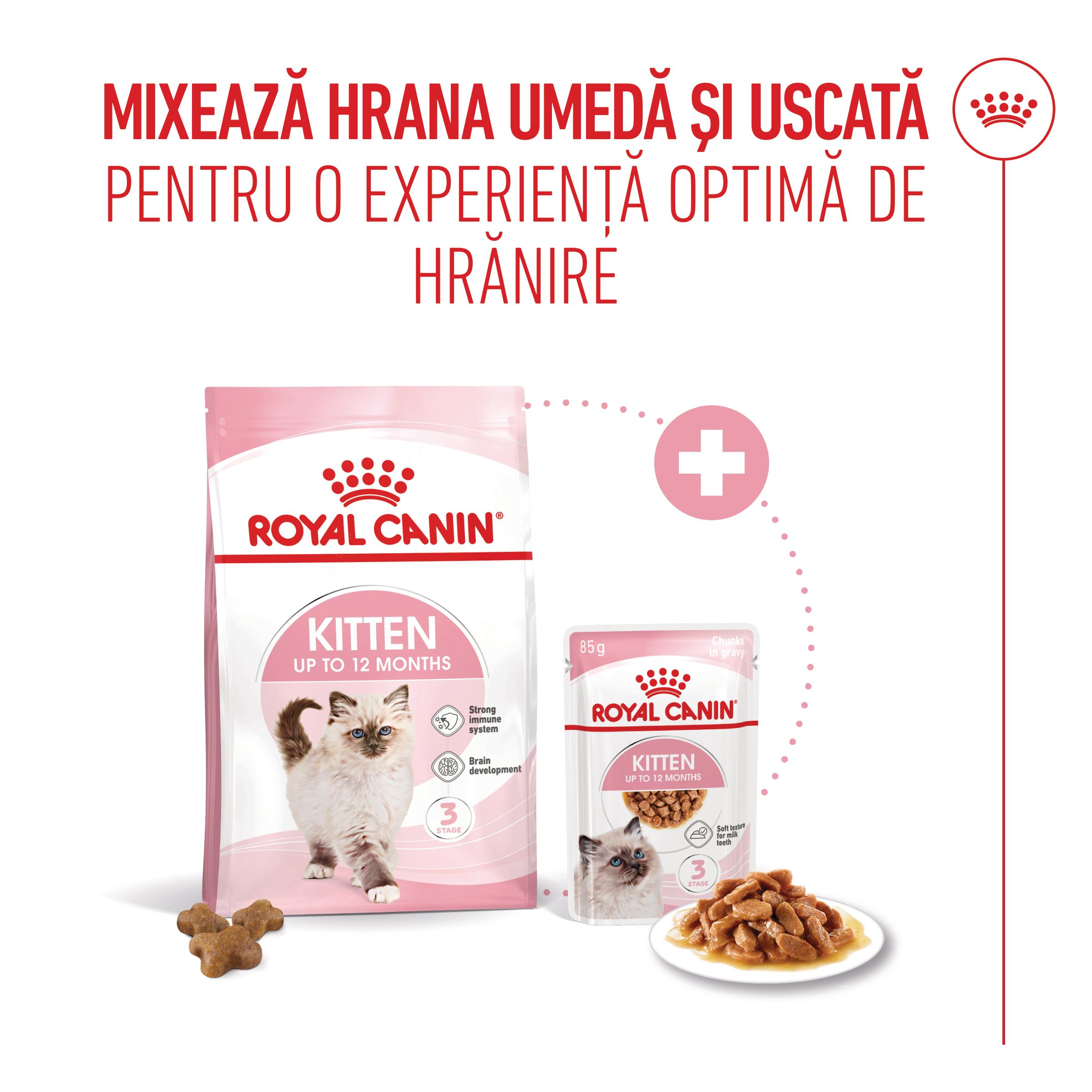 PROMO ROYAL CANIN Kitten, hrană uscată pisici junior, 400g, 60% REDUCERE la al Doilea Produs