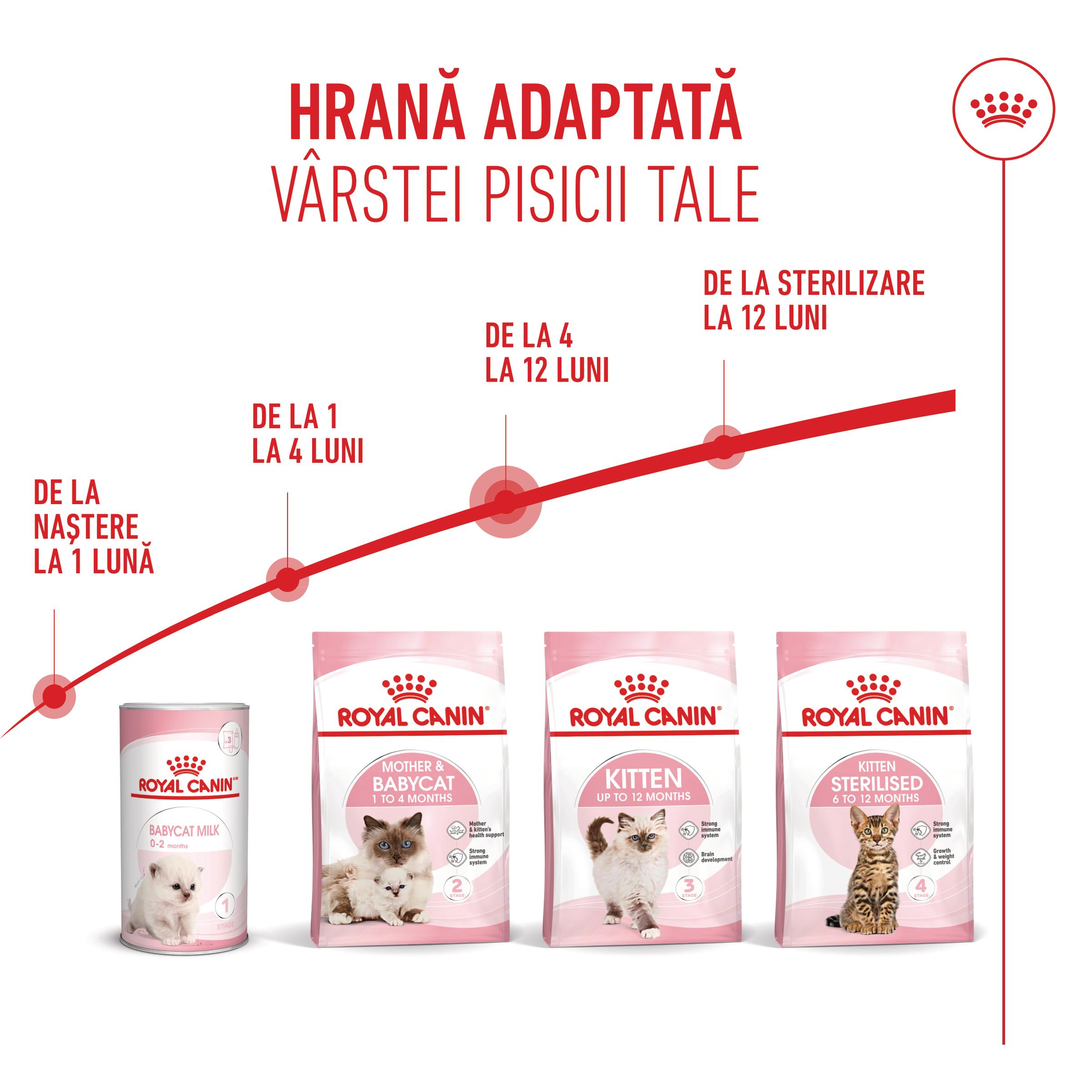 PROMO ROYAL CANIN Kitten, hrană uscată pisici junior, 400g, 60% REDUCERE la al Doilea Produs