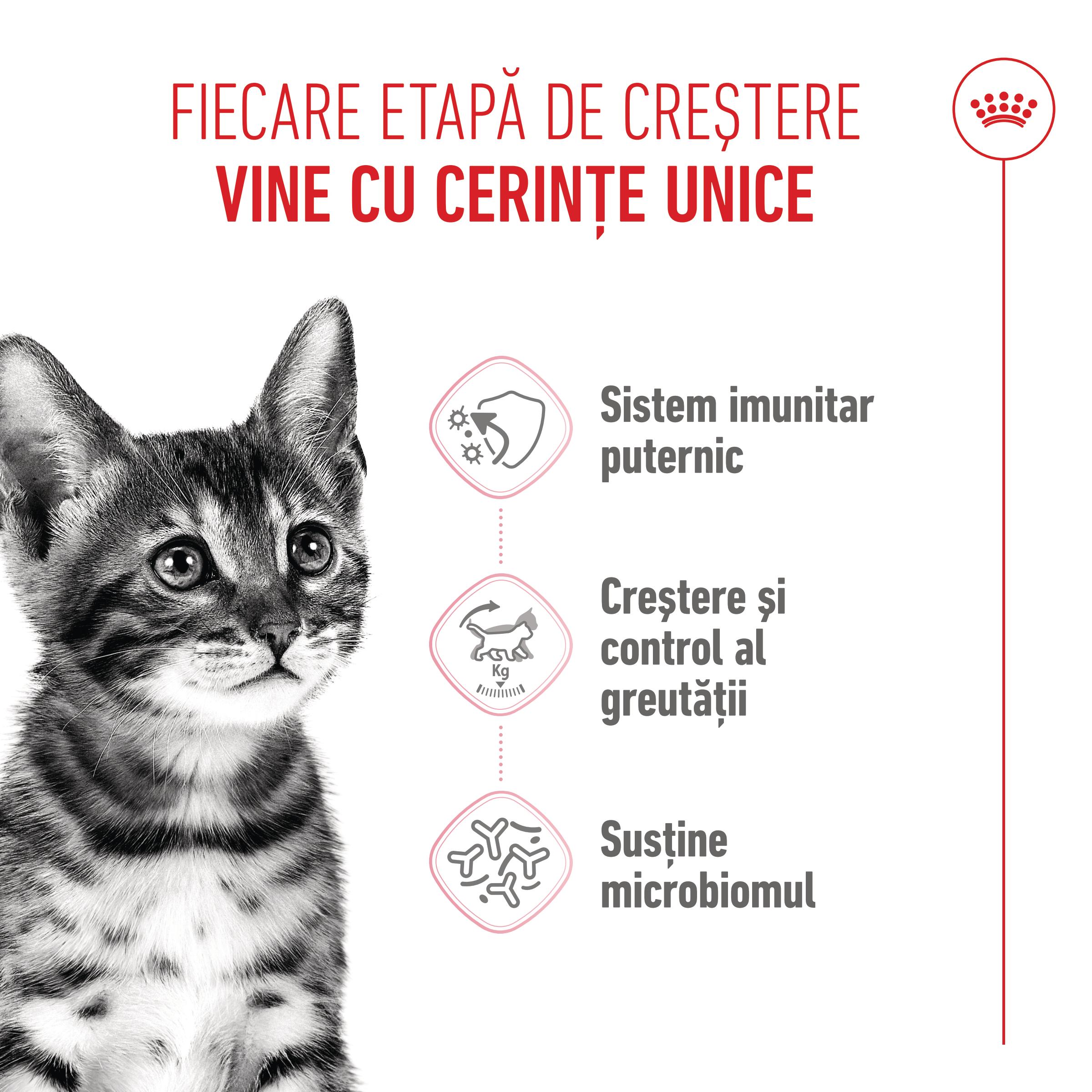 PROMO ROYAL CANIN Kitten Sterilised, hrană uscată pisici sterilizate junior, 2kg + 400g GRATUIT