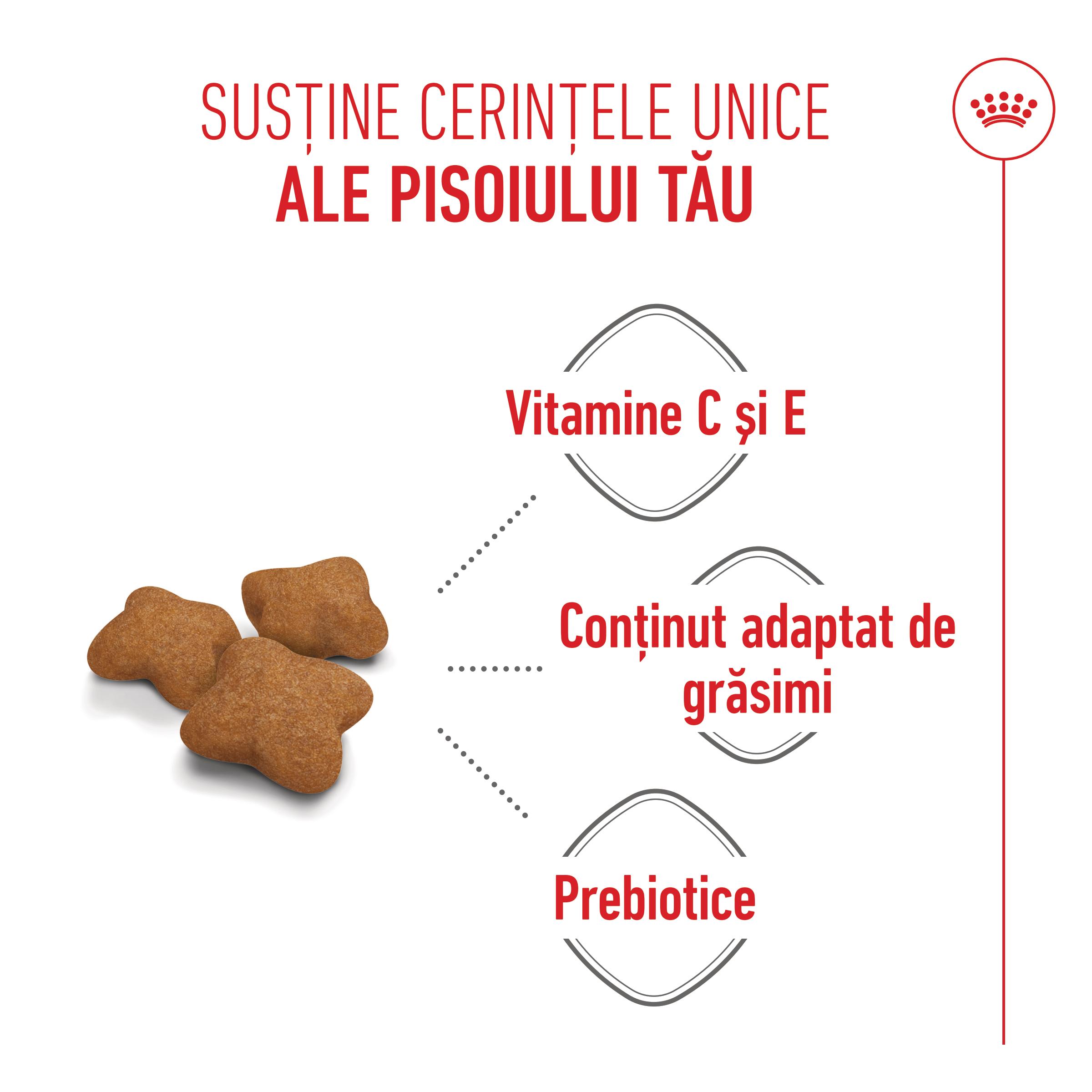 PROMO ROYAL CANIN Kitten Sterilised, hrană uscată pisici sterilizate junior, 2kg + 400g GRATUIT