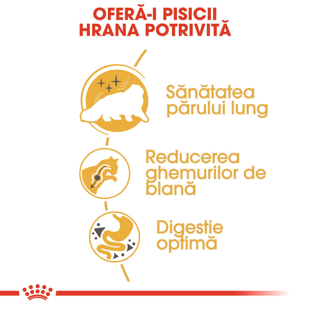 PROMO ROYAL CANIN Persian Adult, hrană uscată pisici, 2kg + 6 buc x 85g plic GRATUIT