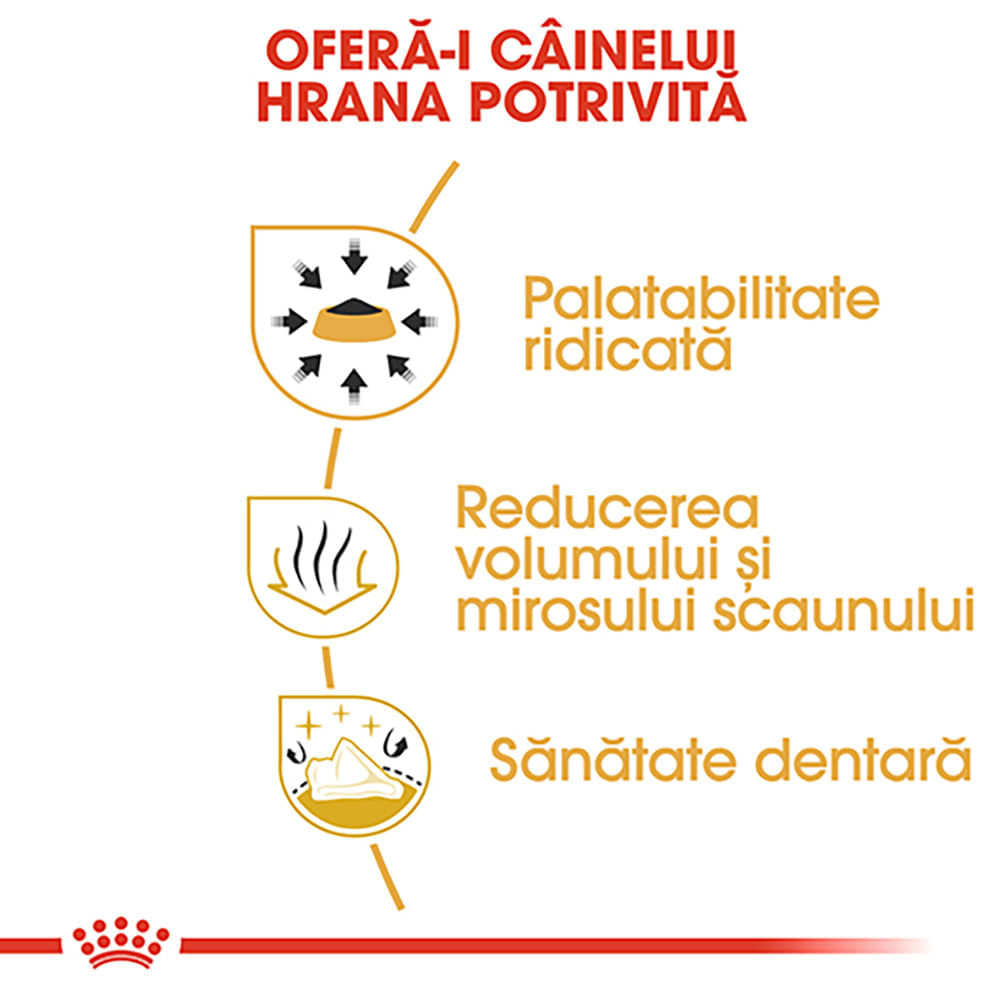 PROMO ROYAL CANIN Chihuahua Adult, hrană uscată câini, 1.5kg + 2buc x 85g plic GRATUIT