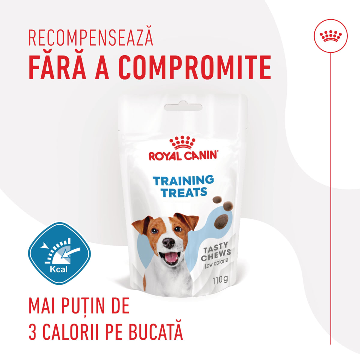 ROYAL CANIN Training Treats, punguță recompense funcționale câini, 110g