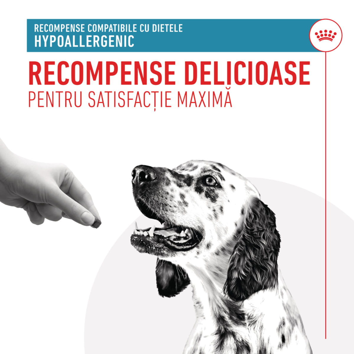 ROYAL CANIN VETERINARY DIET Hypoallergenic Treats, punguță recompense funcționale câini, alergii, 230g - 3 | YEO