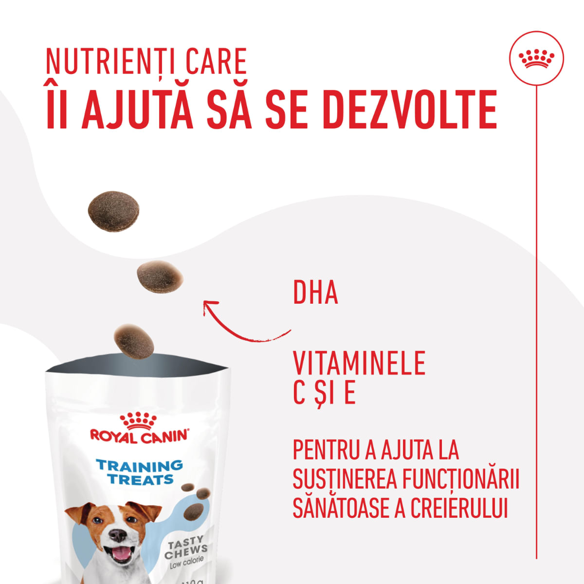 ROYAL CANIN Training Treats, punguță recompense funcționale câini, 110g
