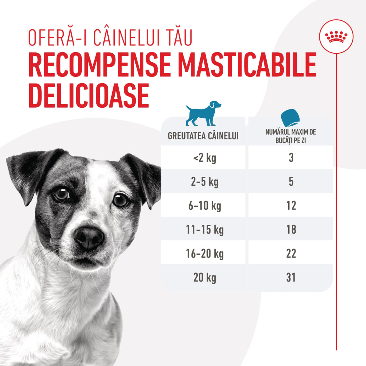 ROYAL CANIN Training Treats, punguță recompense funcționale câini, 110g