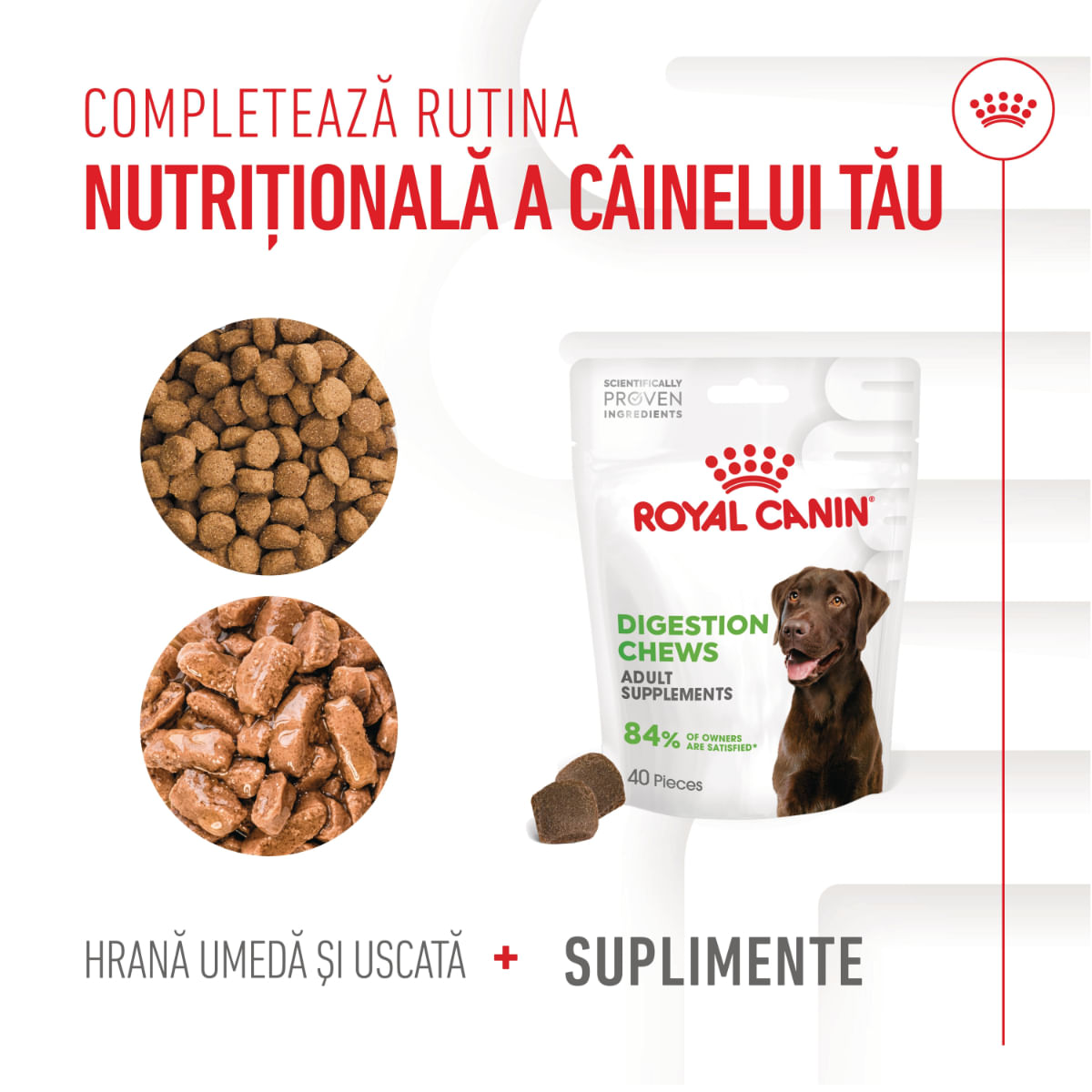ROYAL CANIN Digestion Chews Adult Supplements, punguță recompense funcționale câini, sistem digestiv, 160g
