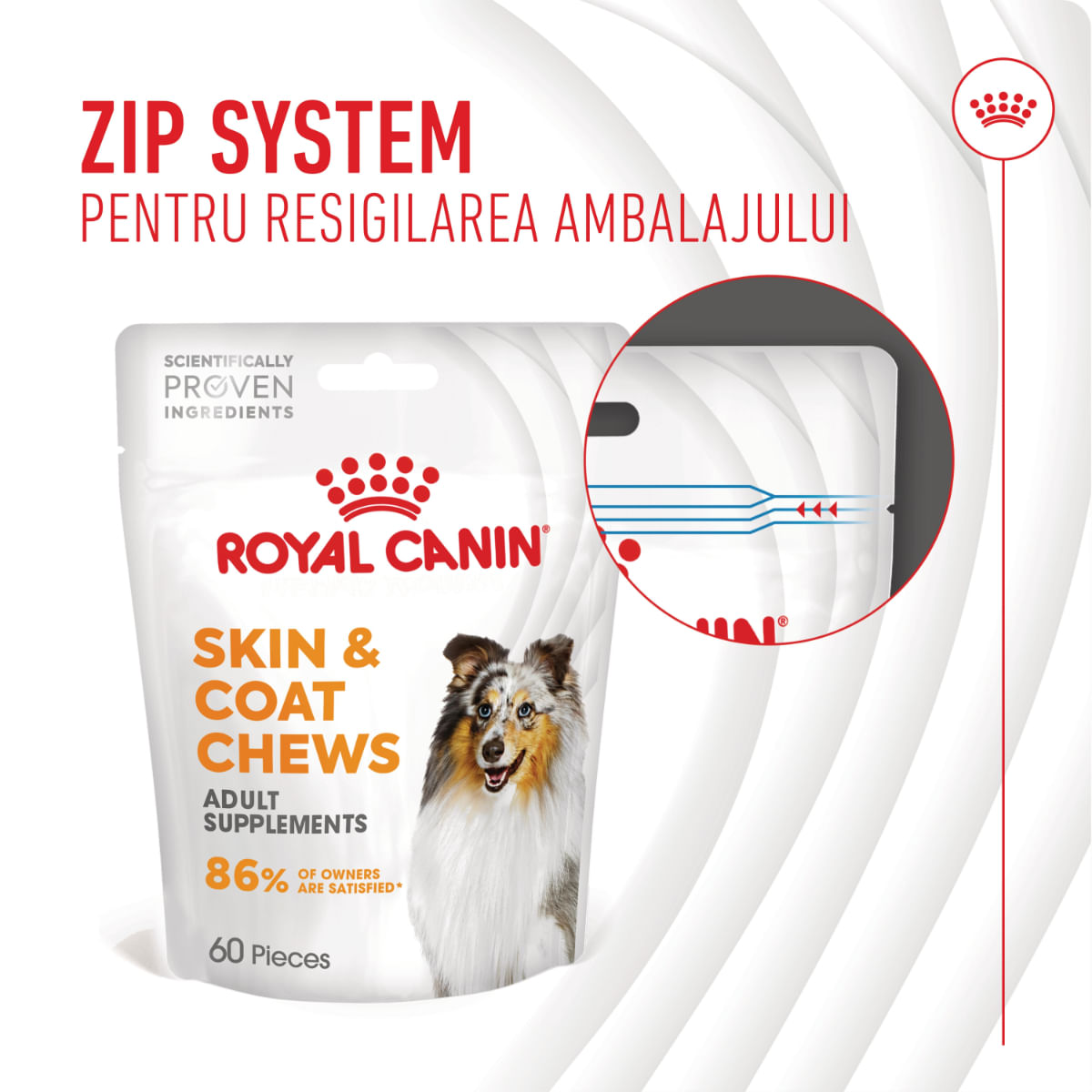 ROYAL CANIN Skin &amp; Coat chews Adult Supplements, punguță recompense funcționale câini, piele &amp; blană, 240g