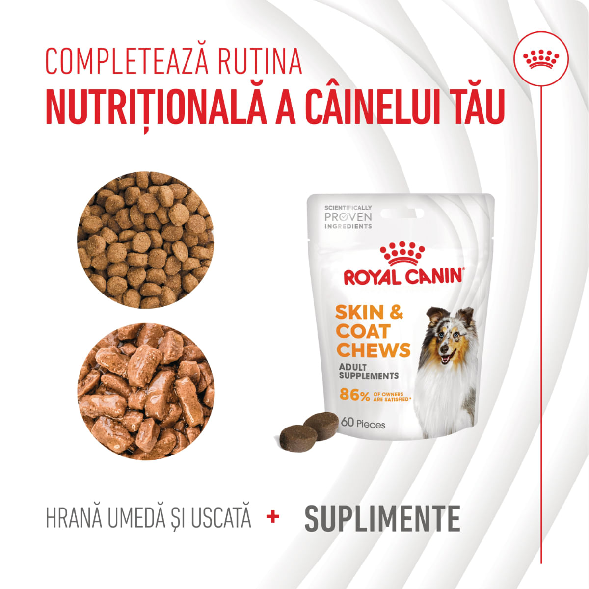 ROYAL CANIN Skin & Coat chews Adult Supplements, punguță recompense funcționale câini, piele & blană, 240g