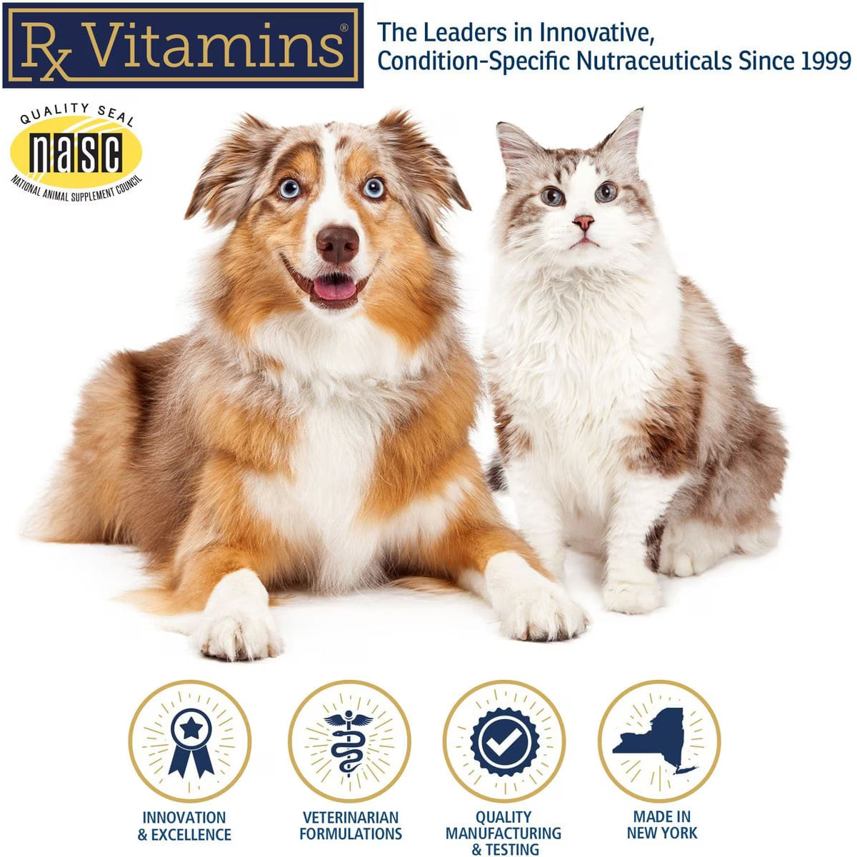 RX VITAMINS Liquid Immuno, supliment sistem imunitar câini, suspensie orală RX VITAMINS Liquid Immuno, supliment sistem imunitar câini și pisici, flacon, 120ml suspensie orală - 2 | YEO