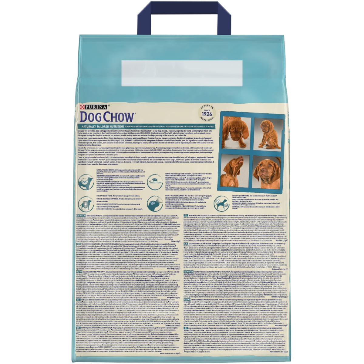 PURINA Dog Chow Puppy M, Miel, hrană uscată câini junior, 2.5kg