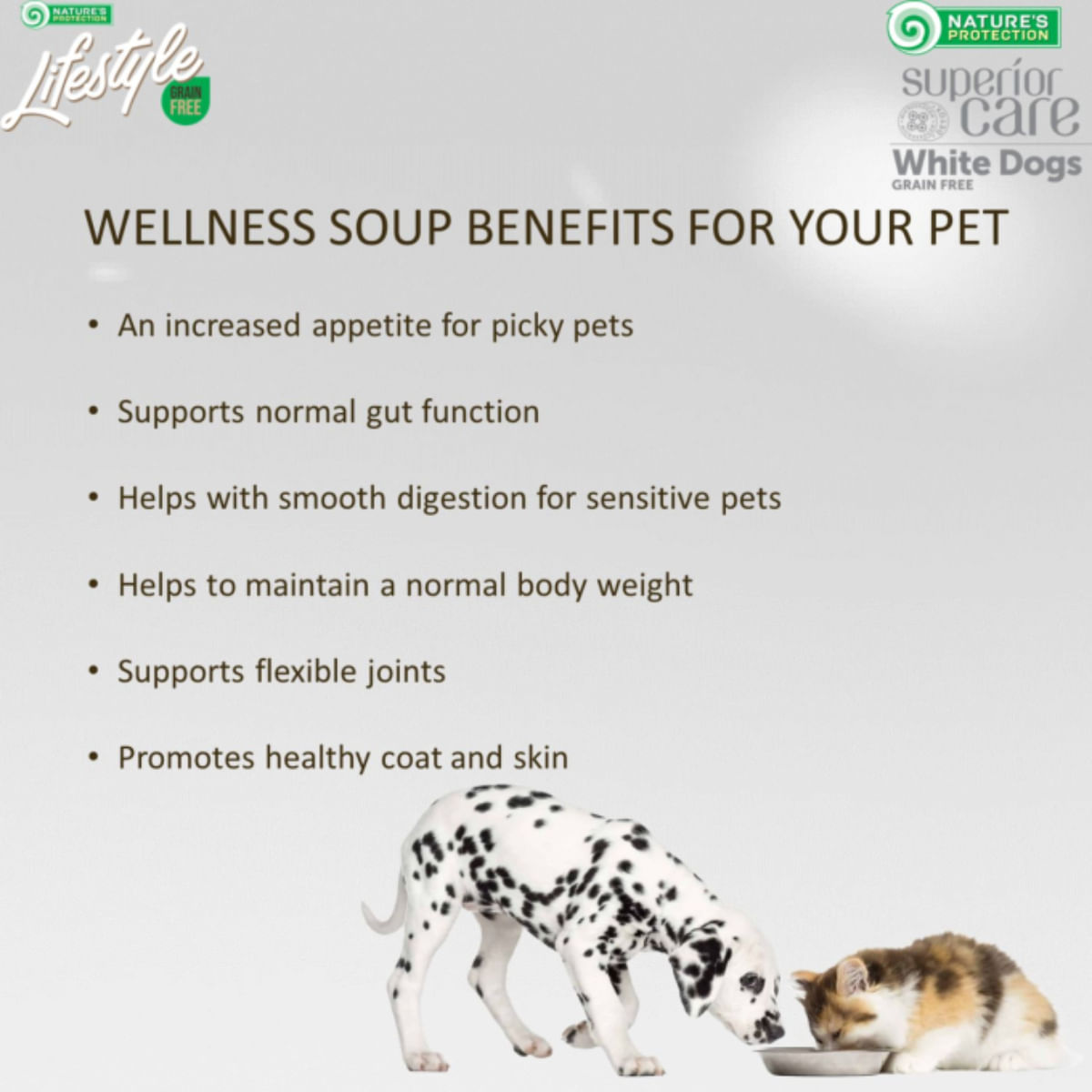 NATURES PROTECTION Lifestyle Sensitive Digestion Soup, Ton, conservă hrană umedă monoproteică pisici, sistem digestiv, (topping), 140g - 2 | YEO