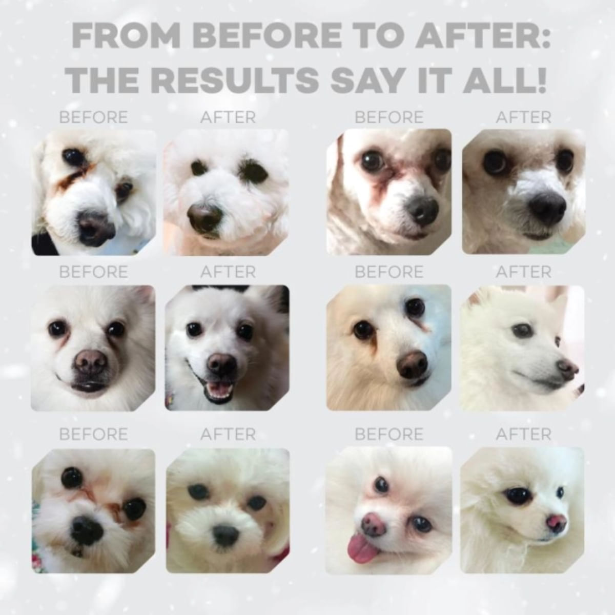 NATURES PROTECTION Superior Care White Dogs, XS-XL, Pește alb, hrană uscată fără cereale câini junior & adult, 10kg