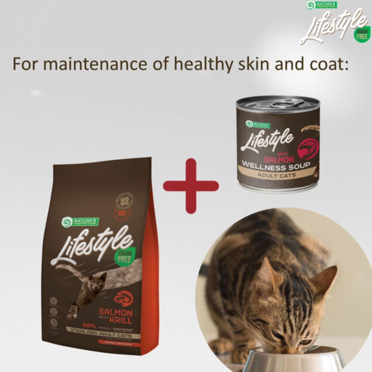 NATURES PROTECTION Lifestyle Sterilised Soup, Somon, conservă hrană umedă pisici sterilizate, (topping), 140g