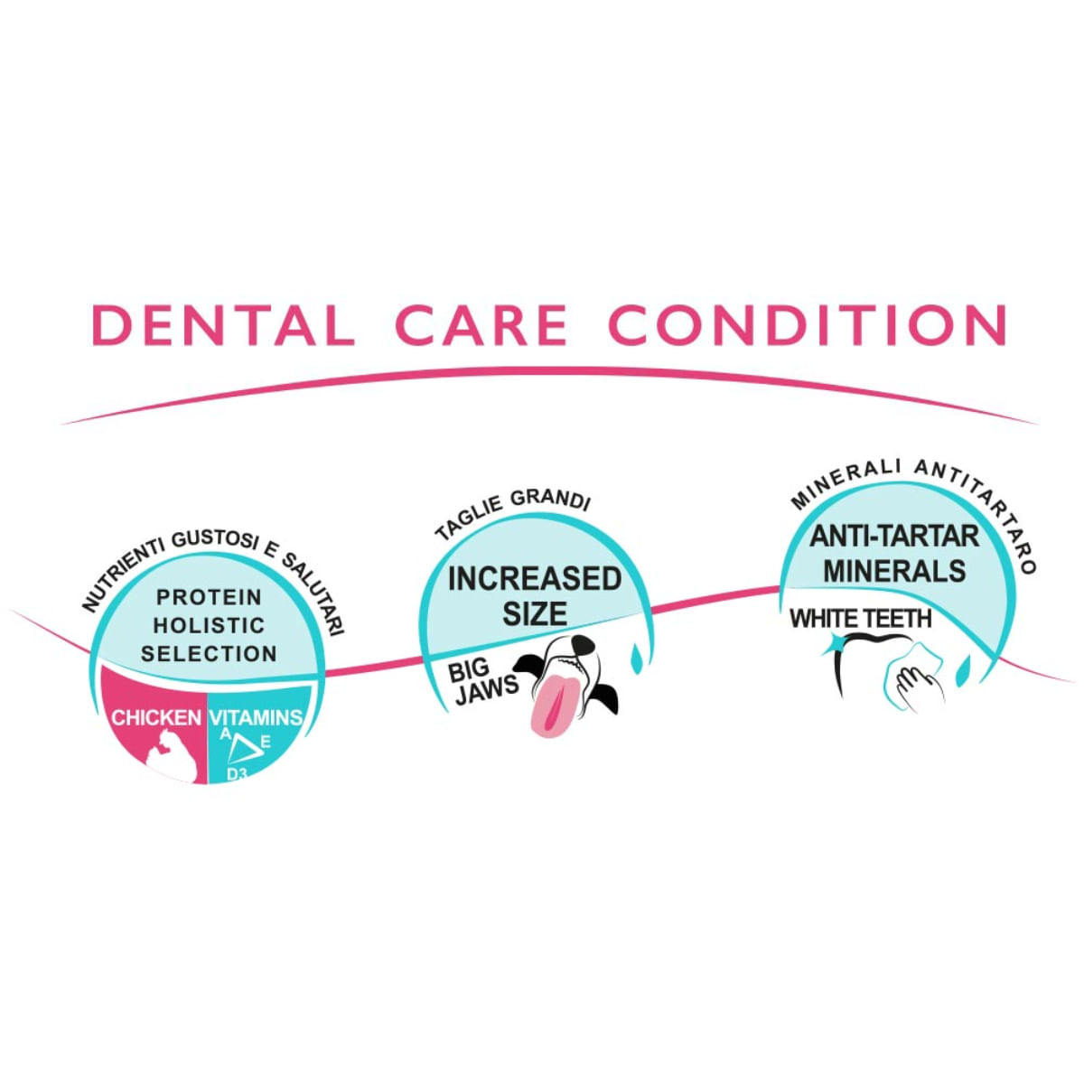 UNICA Classe Major Sensible, L-XL, Pui, punguță recompense funcționale câini, sensibilități dentare, 300g - 3 | YEO