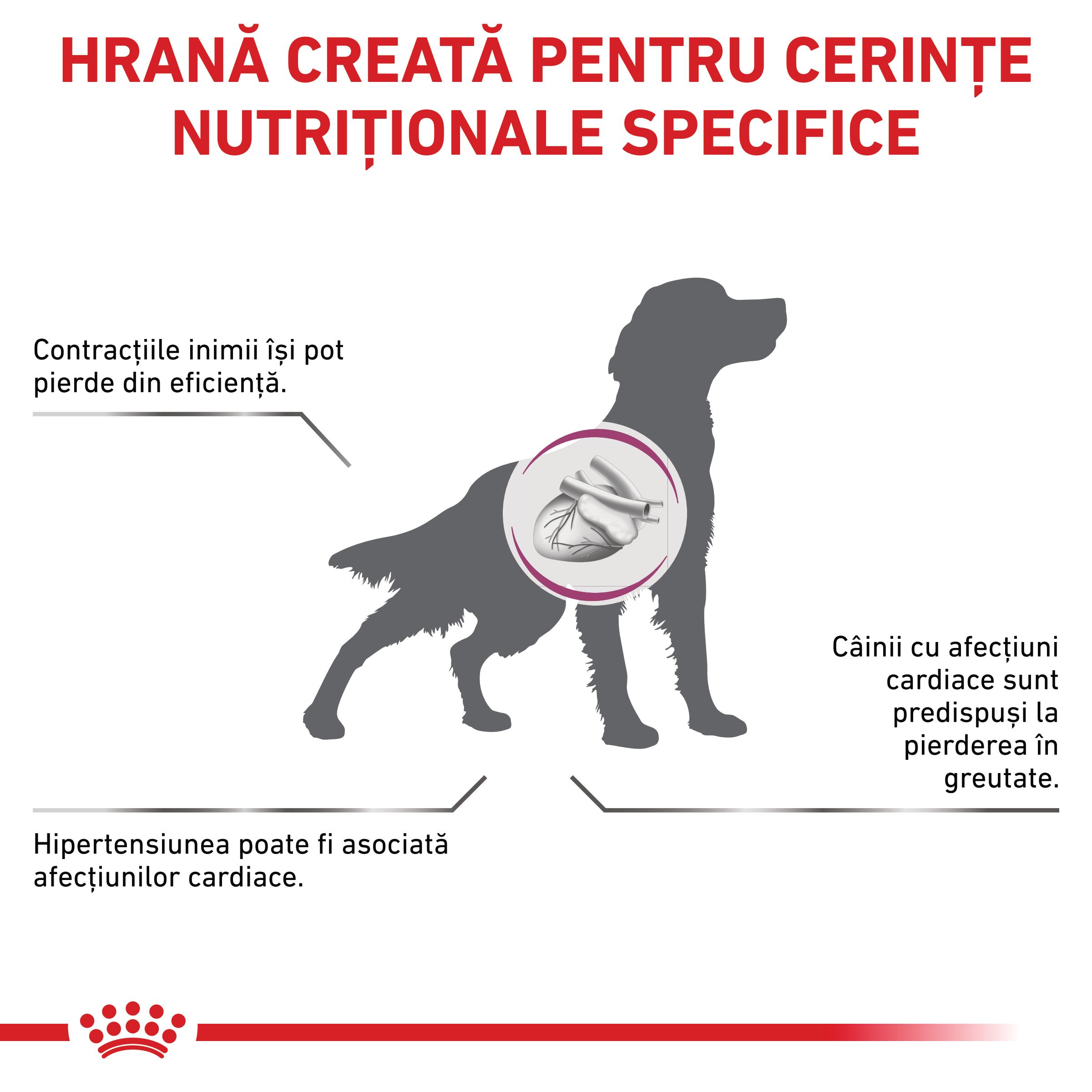 ROYAL CANIN VD Cardiac, XS-XL, dietă veterinară, conservă hrană umedă câini, sistem cardio-vascular (pate), 410g