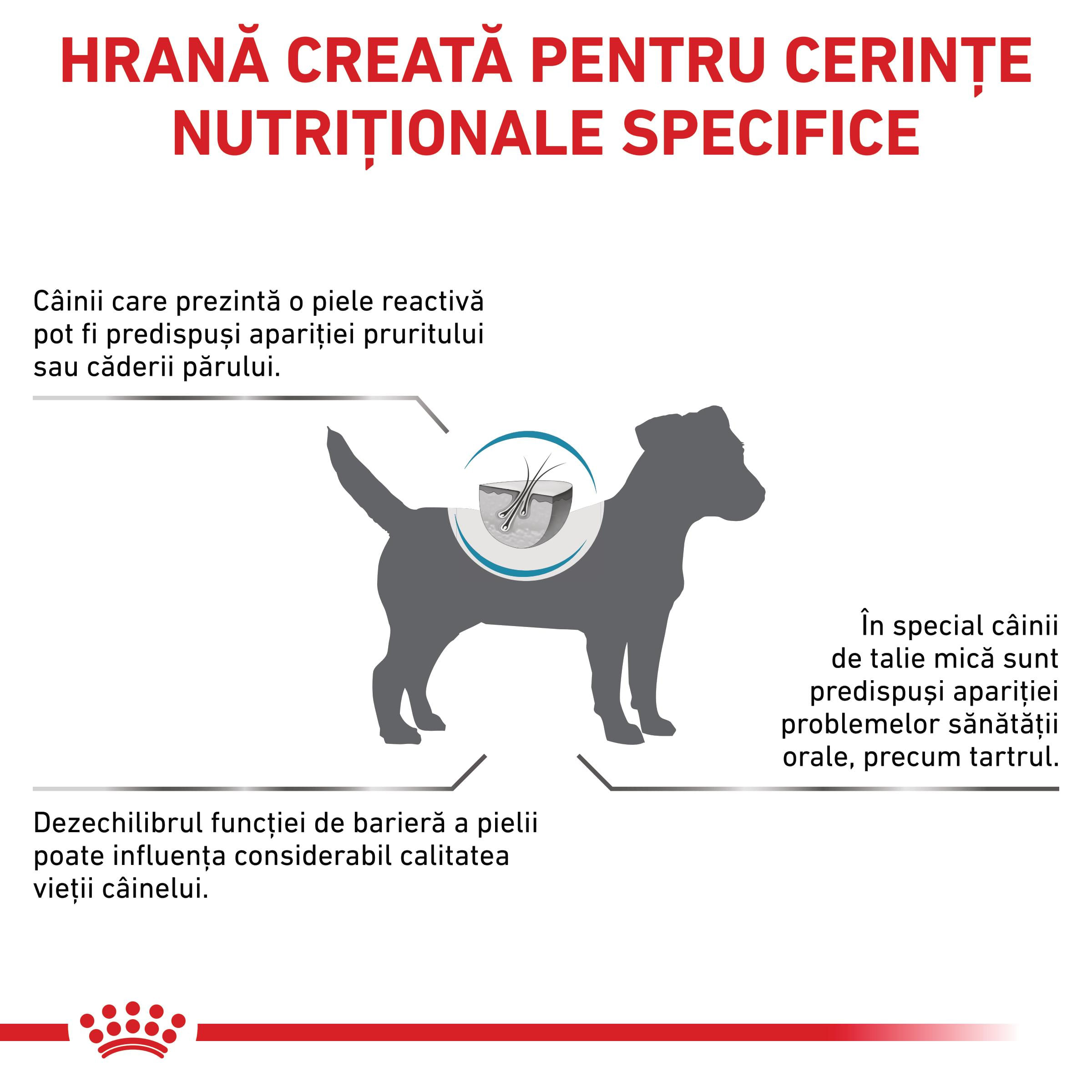 ROYAL CANIN VD Skin Care Small Dog, XS-XL, dietă veterinară, hrană uscată câini, afecțiuni dermatologice, 4kg