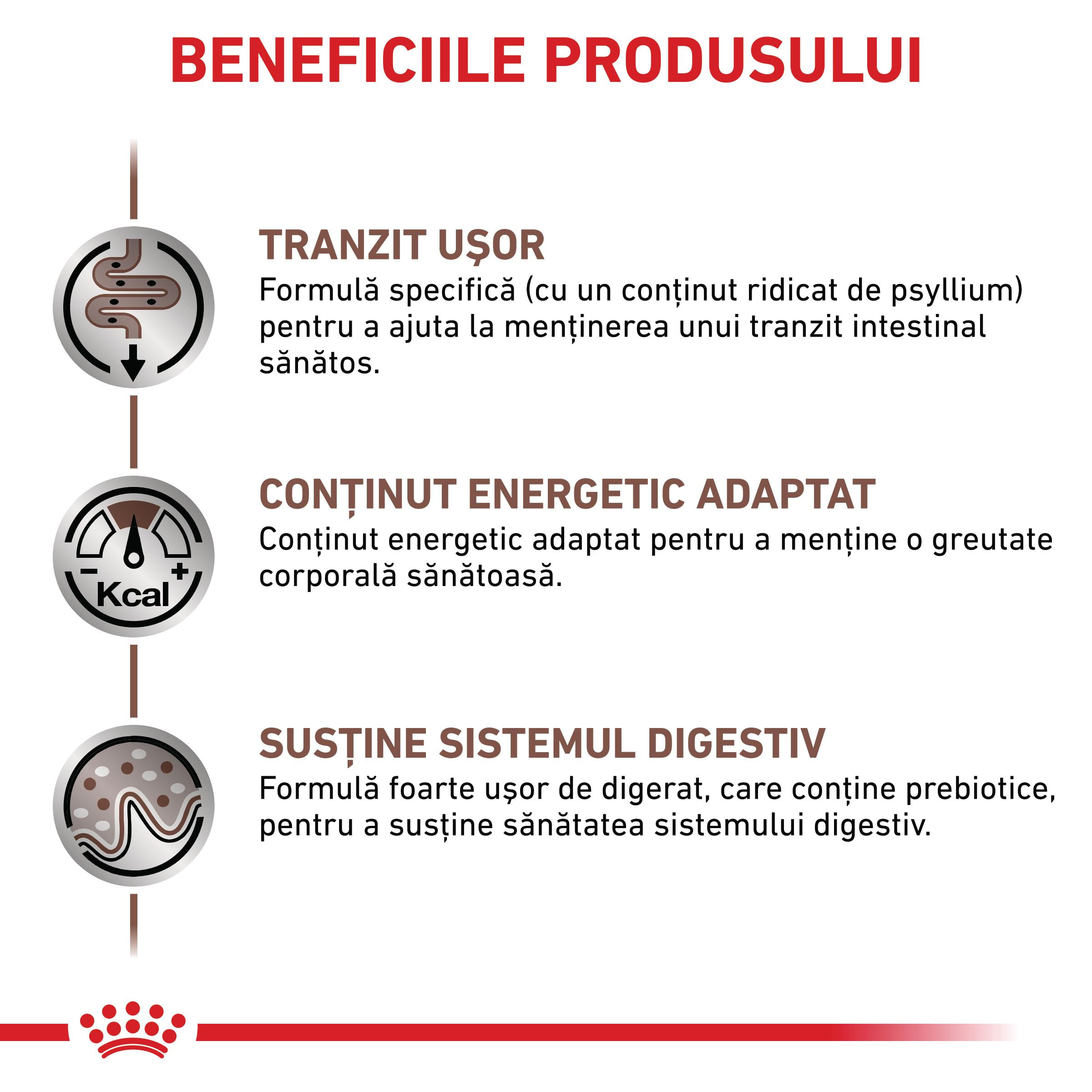 ROYAL CANIN VD Gastrointestinal Fibre Response, dietă veterinară, hrană uscată pisici, sistem digestiv, 2kg