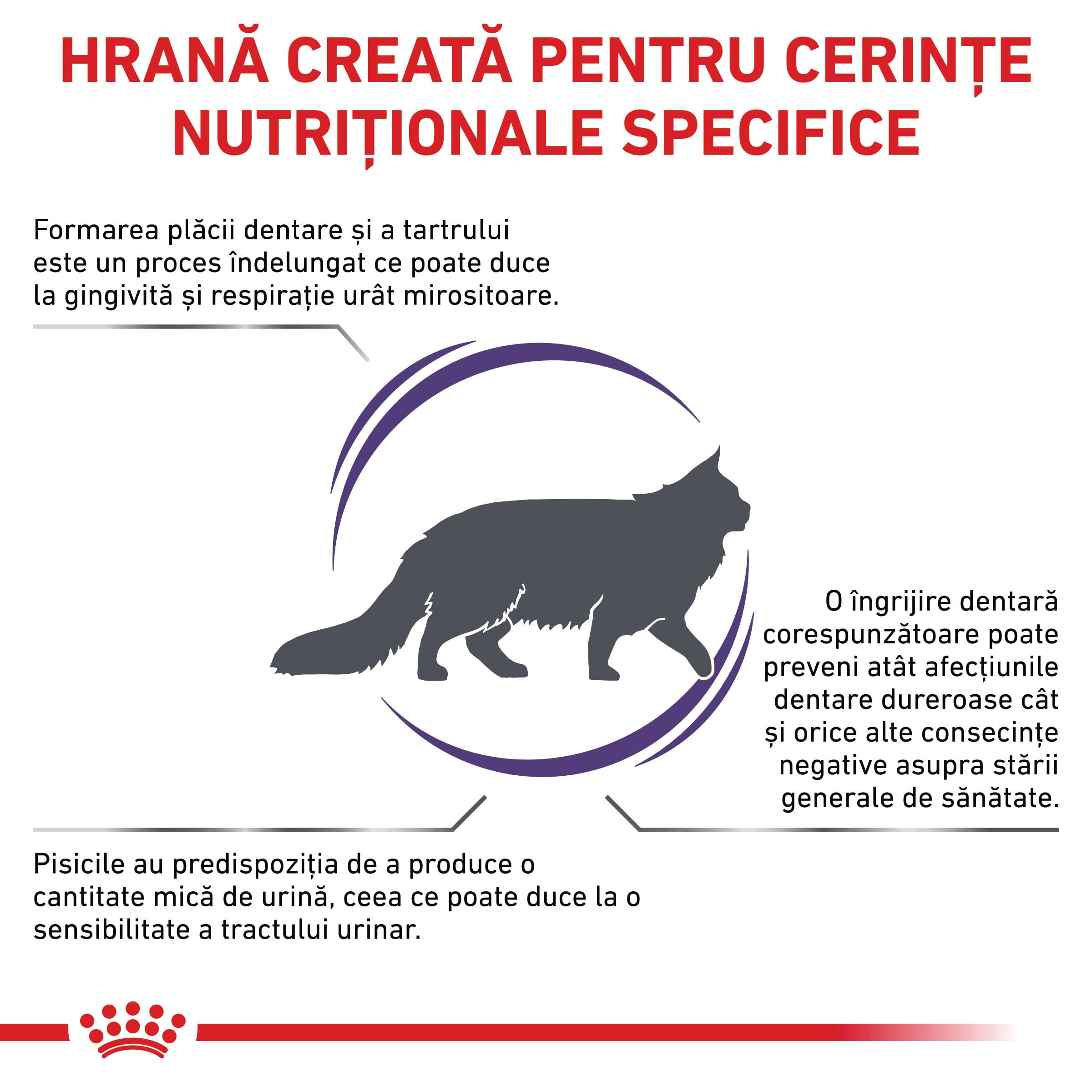ROYAL CANIN VD Dental, dietă veterinară, hrană uscată pisici, sensibilități dentare, 1.5kg - 2 | YEO