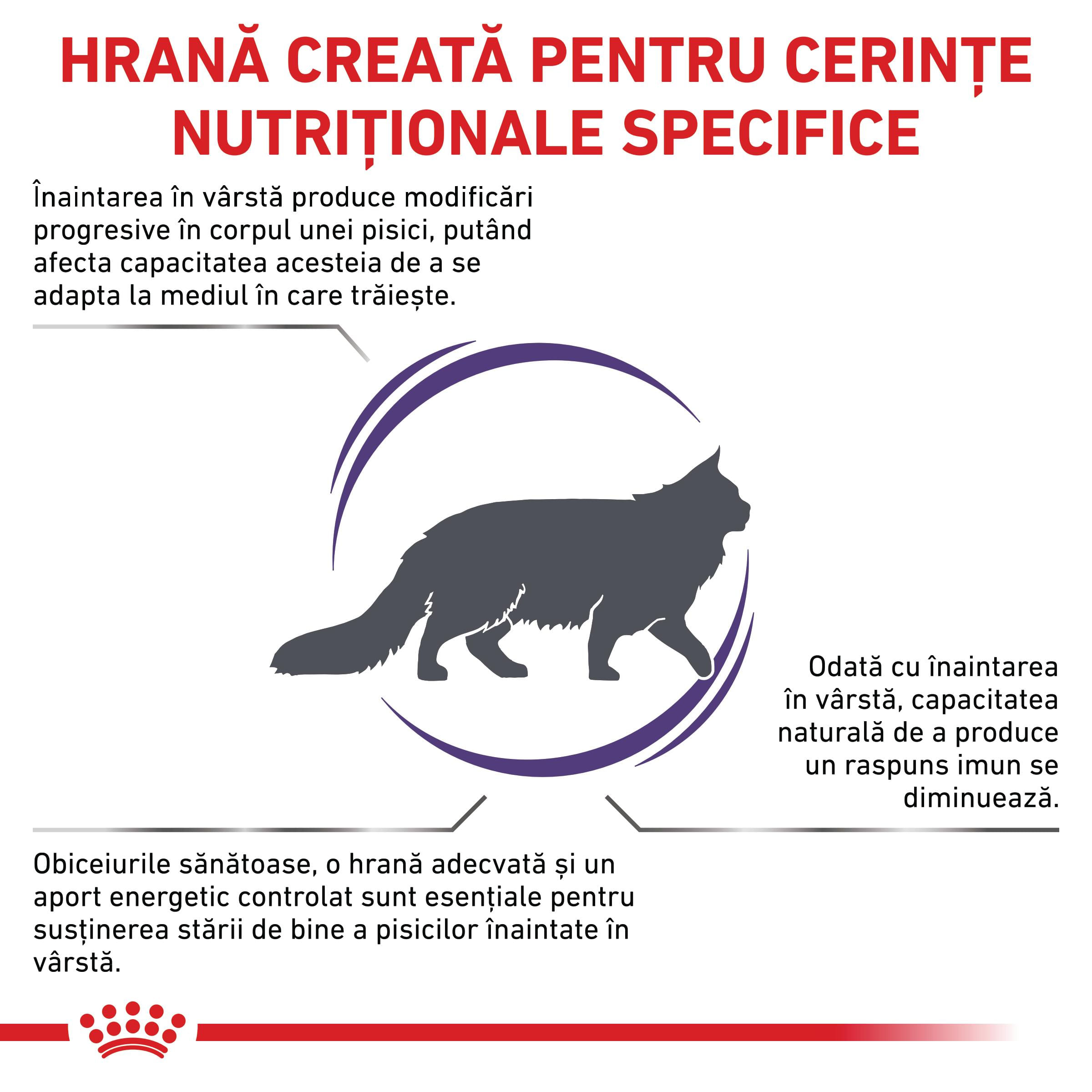 ROYAL CANIN VD Mature Consult, dietă veterinară, hrană uscată pisici senior, 3.5kg