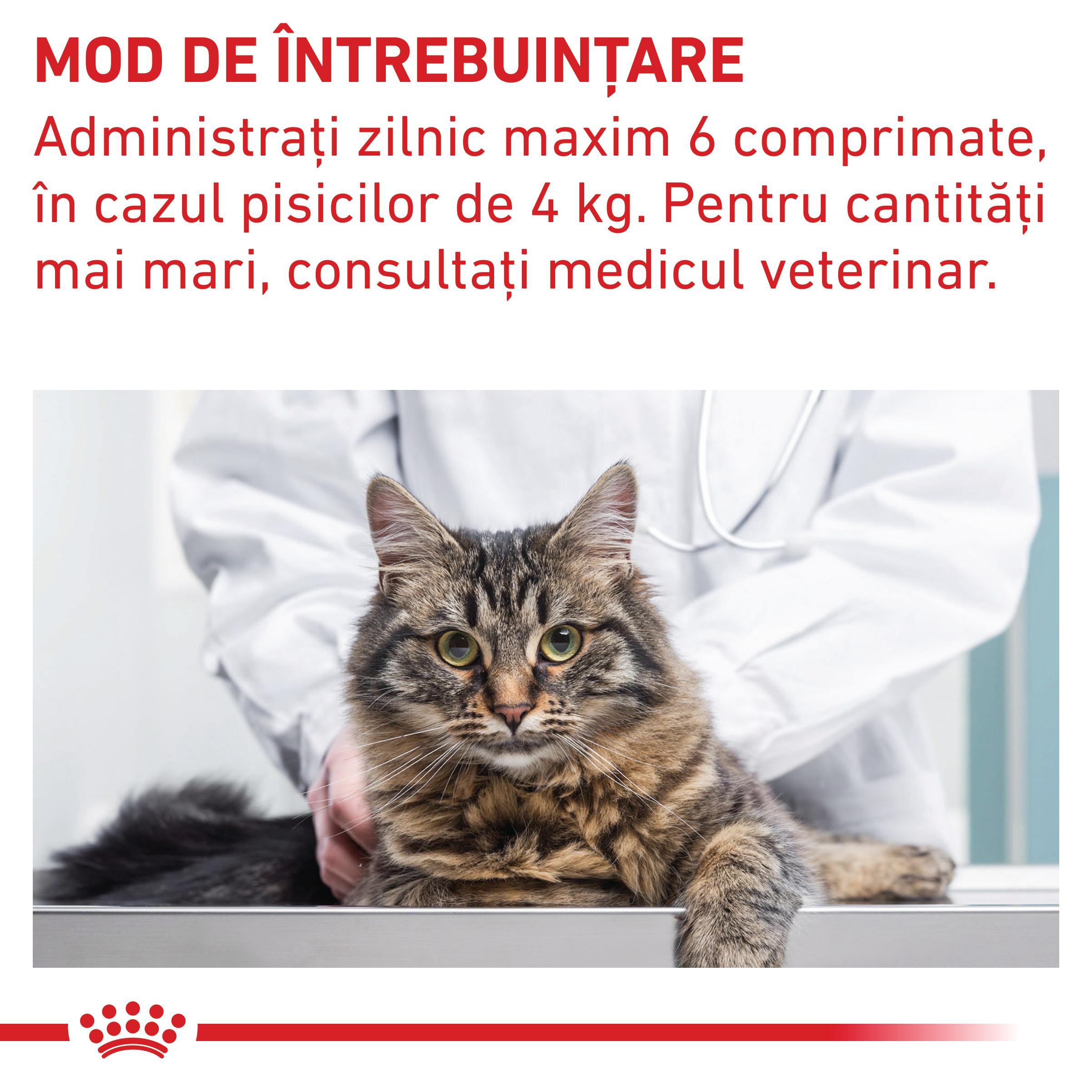 ROYAL CANIN VD Pill Assist Cat, dietă veterinară pisici, 45g