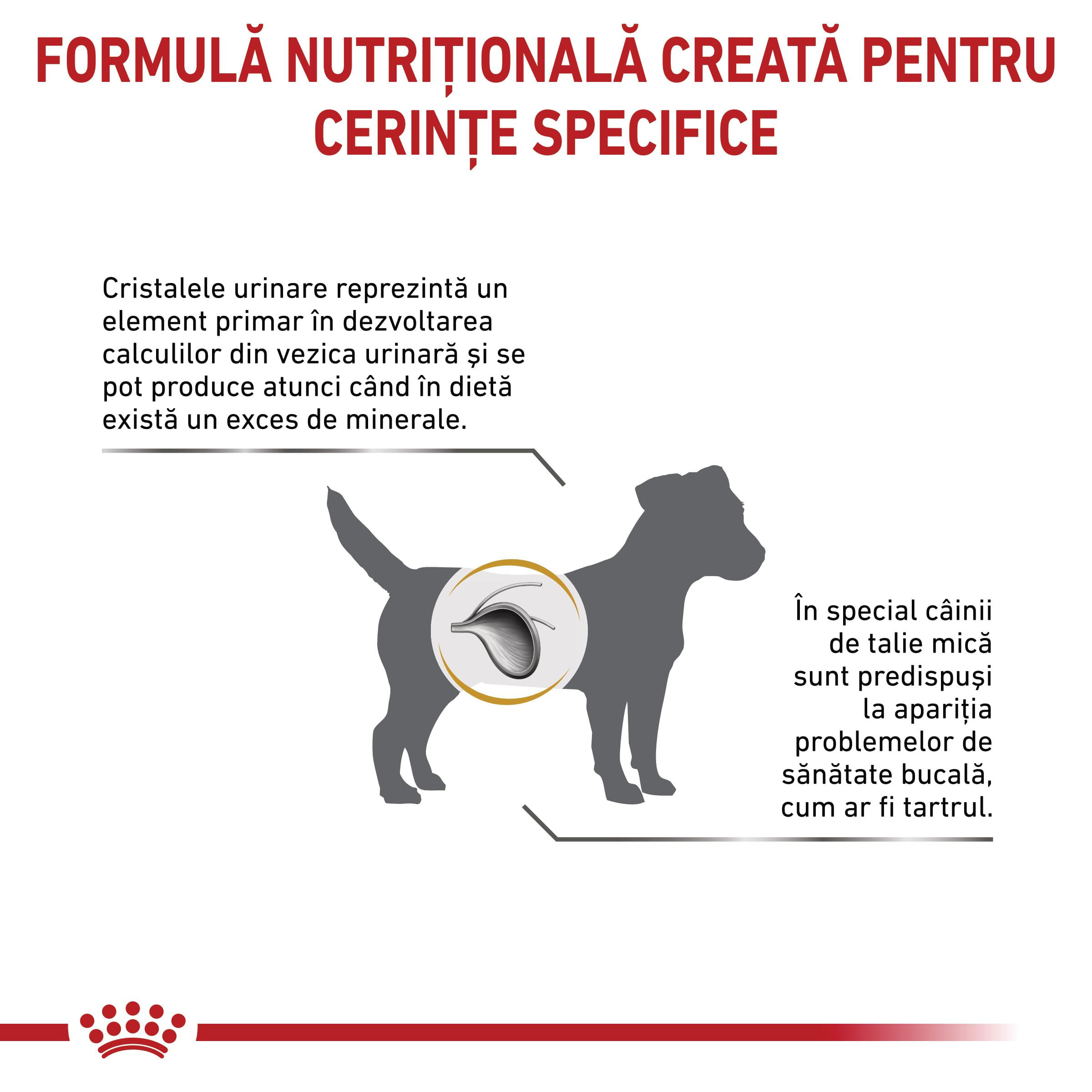 ROYAL CANIN VD Urinary S/O Small Dog, XS-S, dietă veterinară, hrană uscată câini, sistem urinar, 8kg