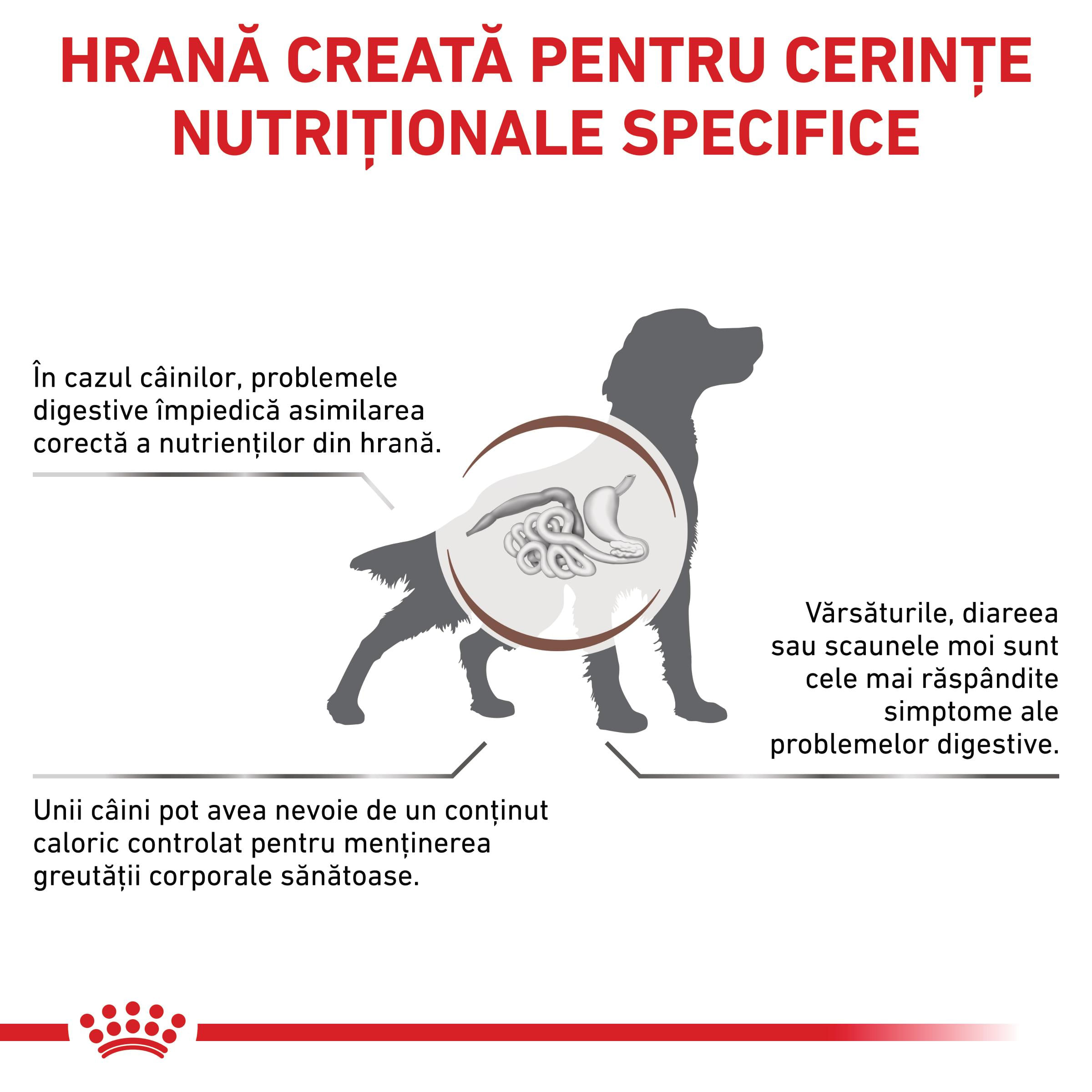ROYAL CANIN VD Gastrointestinal Moderate Calorie, XS-XL, dietă veterinară, hrană uscată câini, sistem digestiv, 2kg