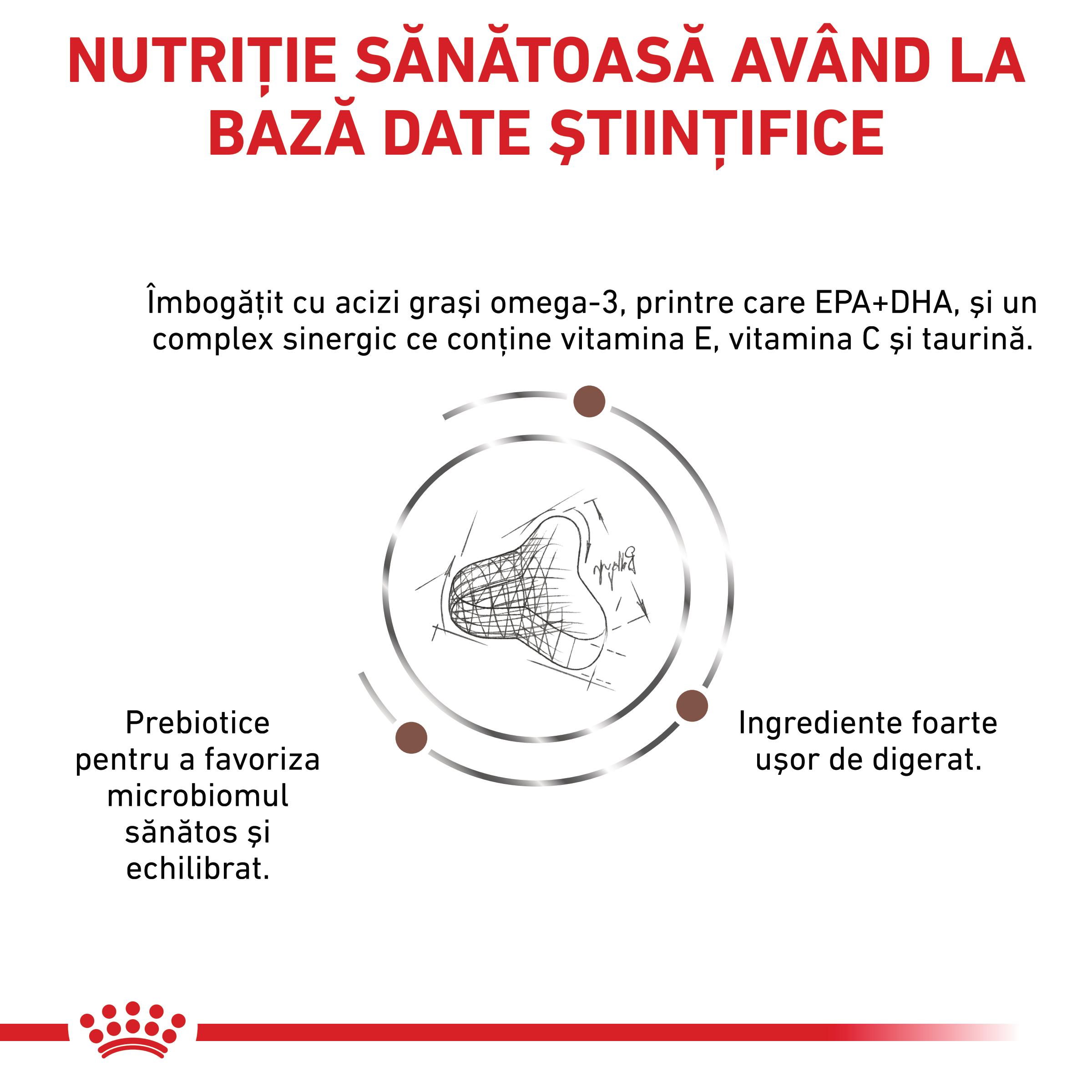 ROYAL CANIN VD Gastrointestinal Fibre Response, dietă veterinară, hrană uscată pisici, sistem digestiv, 2kg