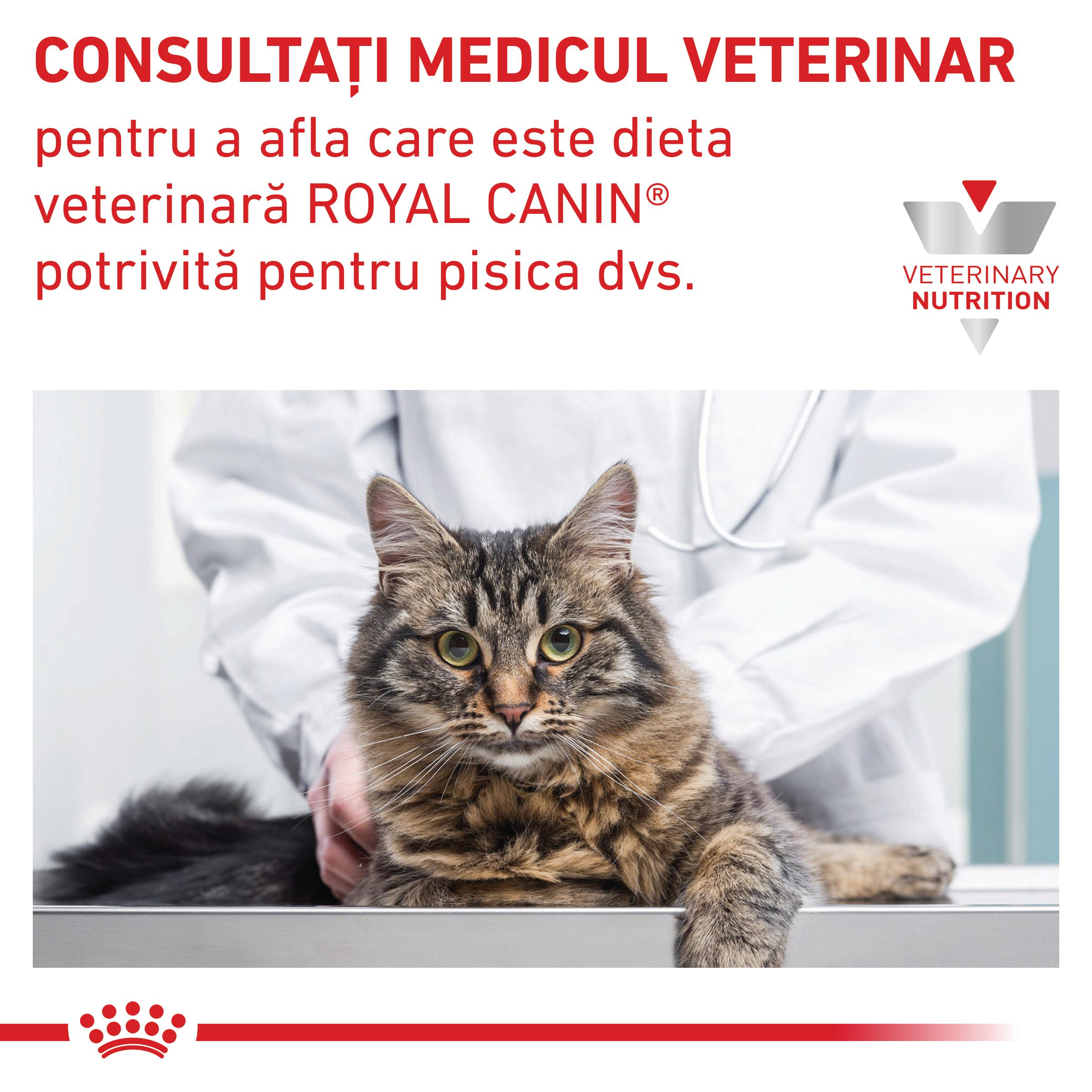 ROYAL CANIN VD Hypoallergenic, dietă veterinară, hrană uscată pisici, alergii, 4.5kg