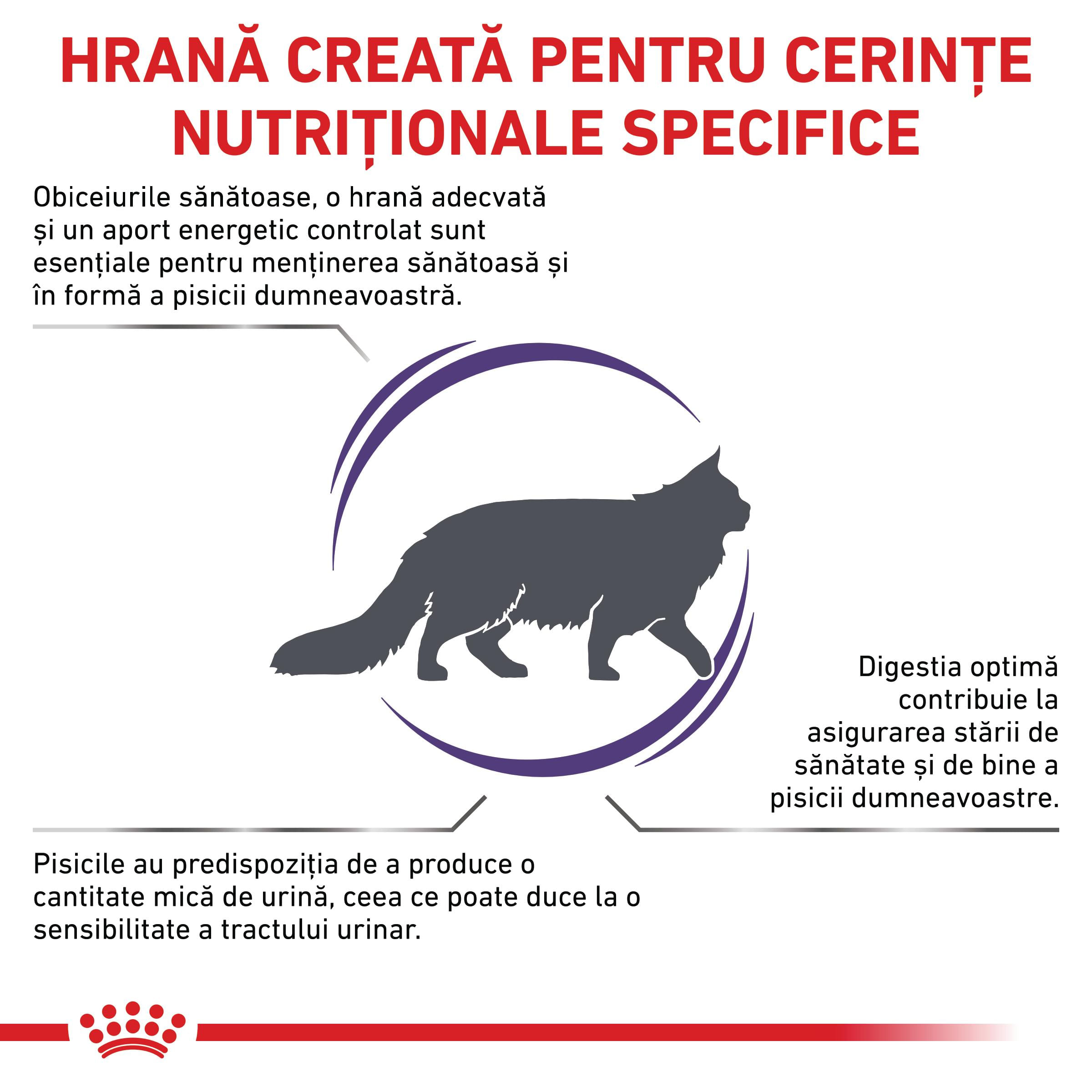 ROYAL CANIN VD Adult Cat, dietă veterinară, hrană uscată pisici, 8kg