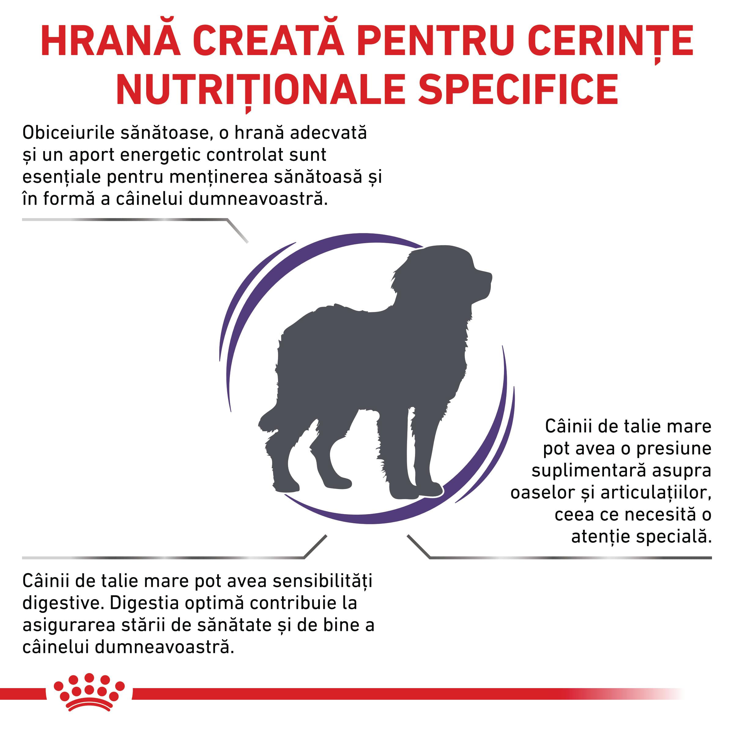 ROYAL CANIN VD Adult Large Dog, L-XL, dietă veterinară, hrană uscată câini, 4kg