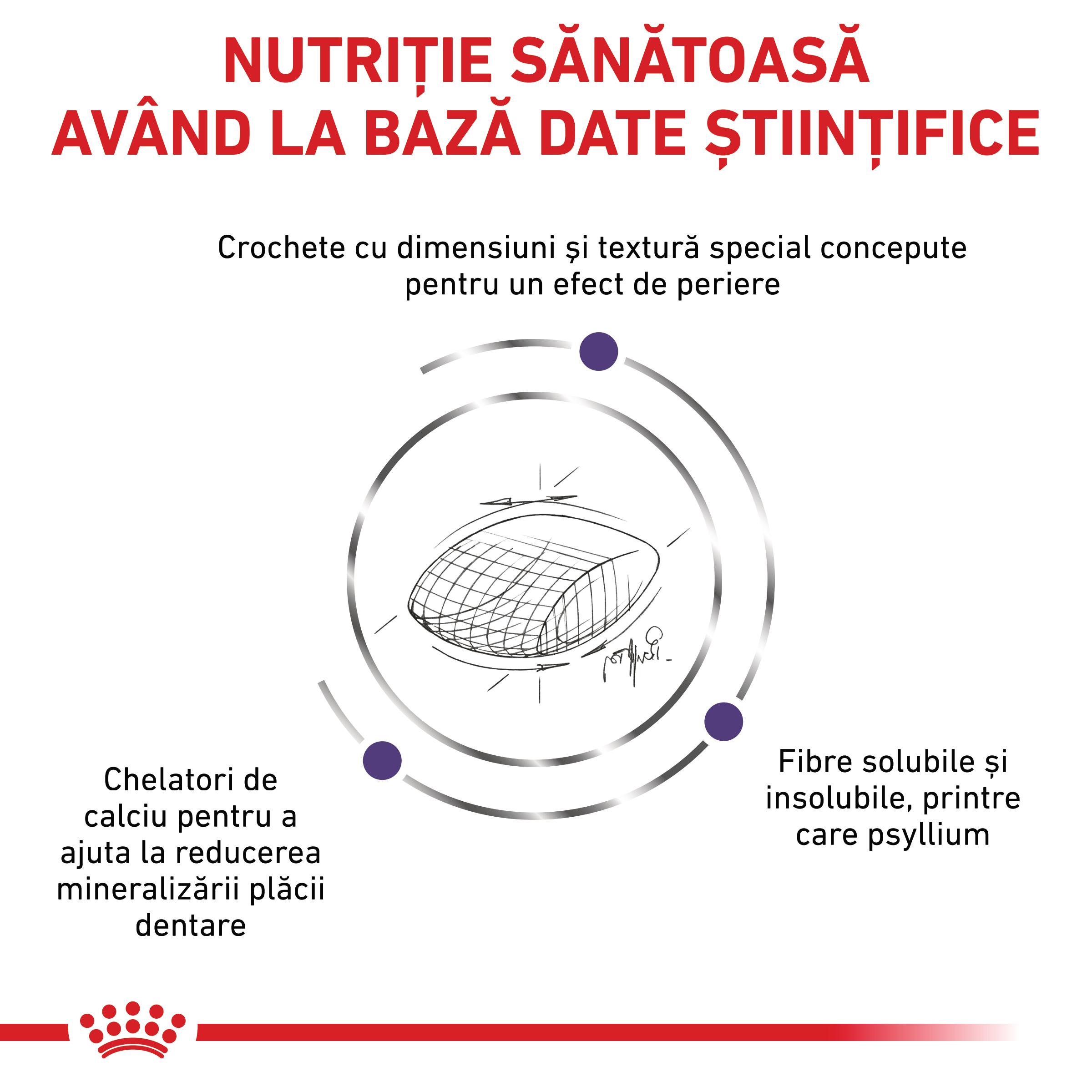 ROYAL CANIN VD Dental, dietă veterinară, hrană uscată pisici, sensibilități dentare, 1.5kg