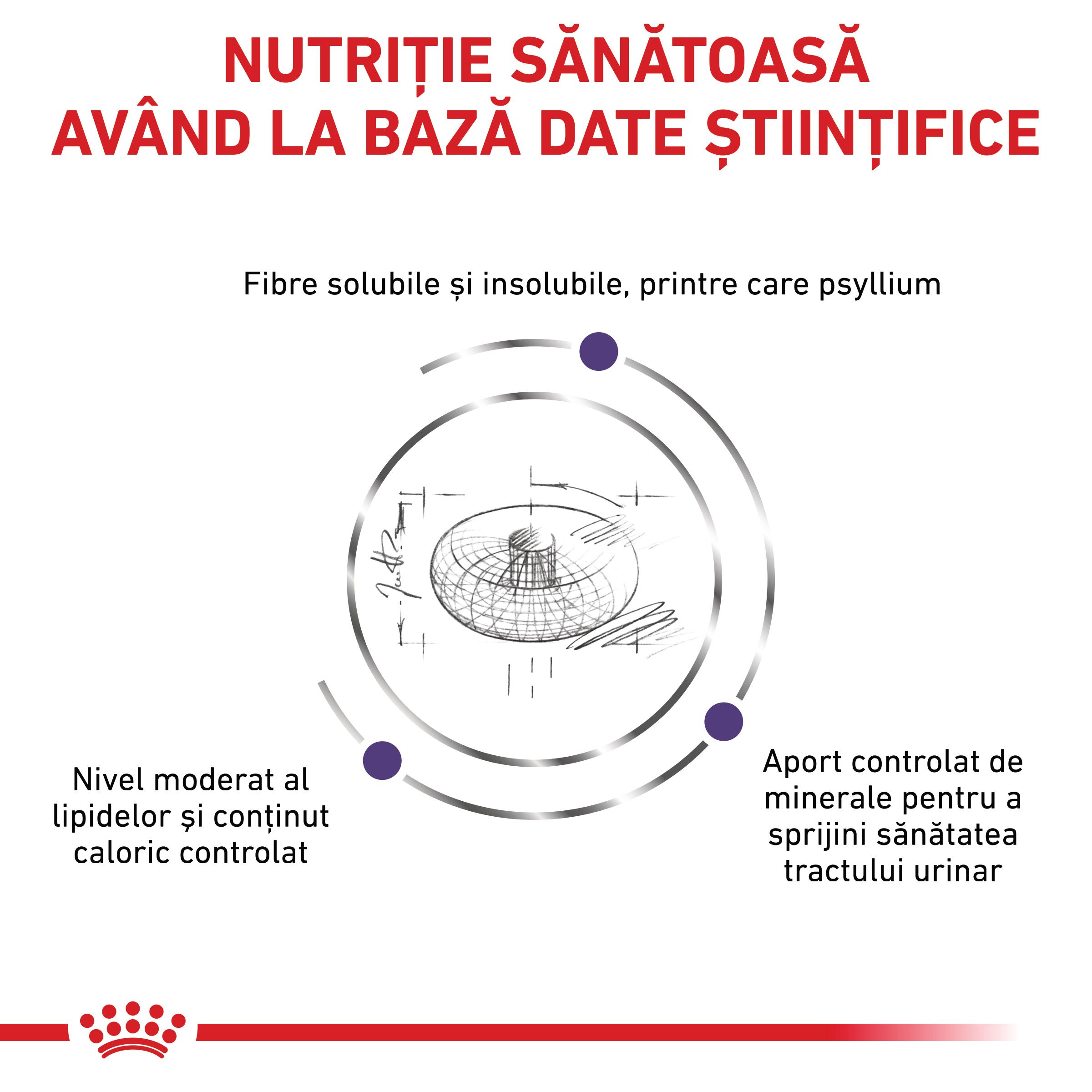 ROYAL CANIN VD Neutered Adult Small Dog, XS-S, dietă veterinară, hrană uscată câini, 1.5kg