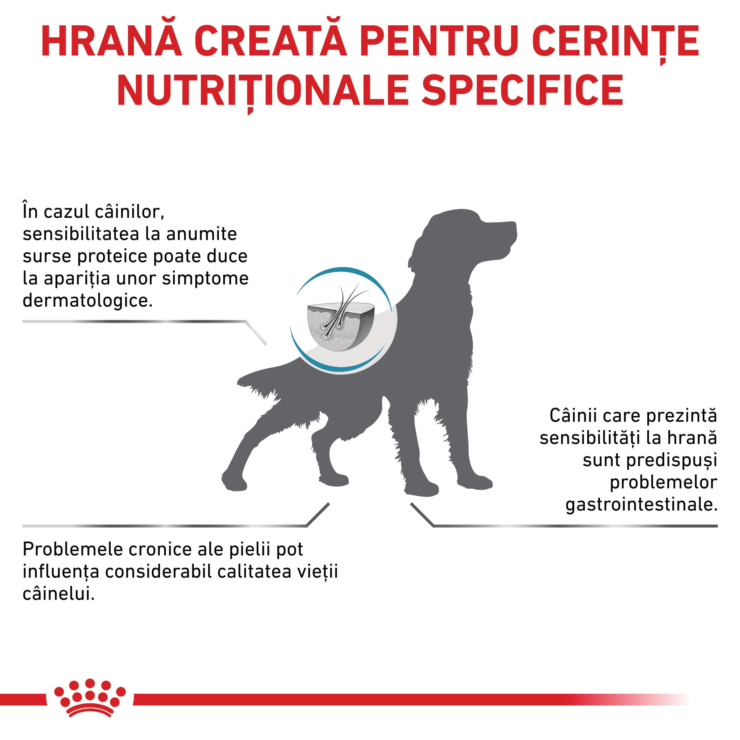 ROYAL CANIN VD Anallergenic, XS-XL, dietă veterinară, hrană uscată câini, alergii alimentare, 3kg