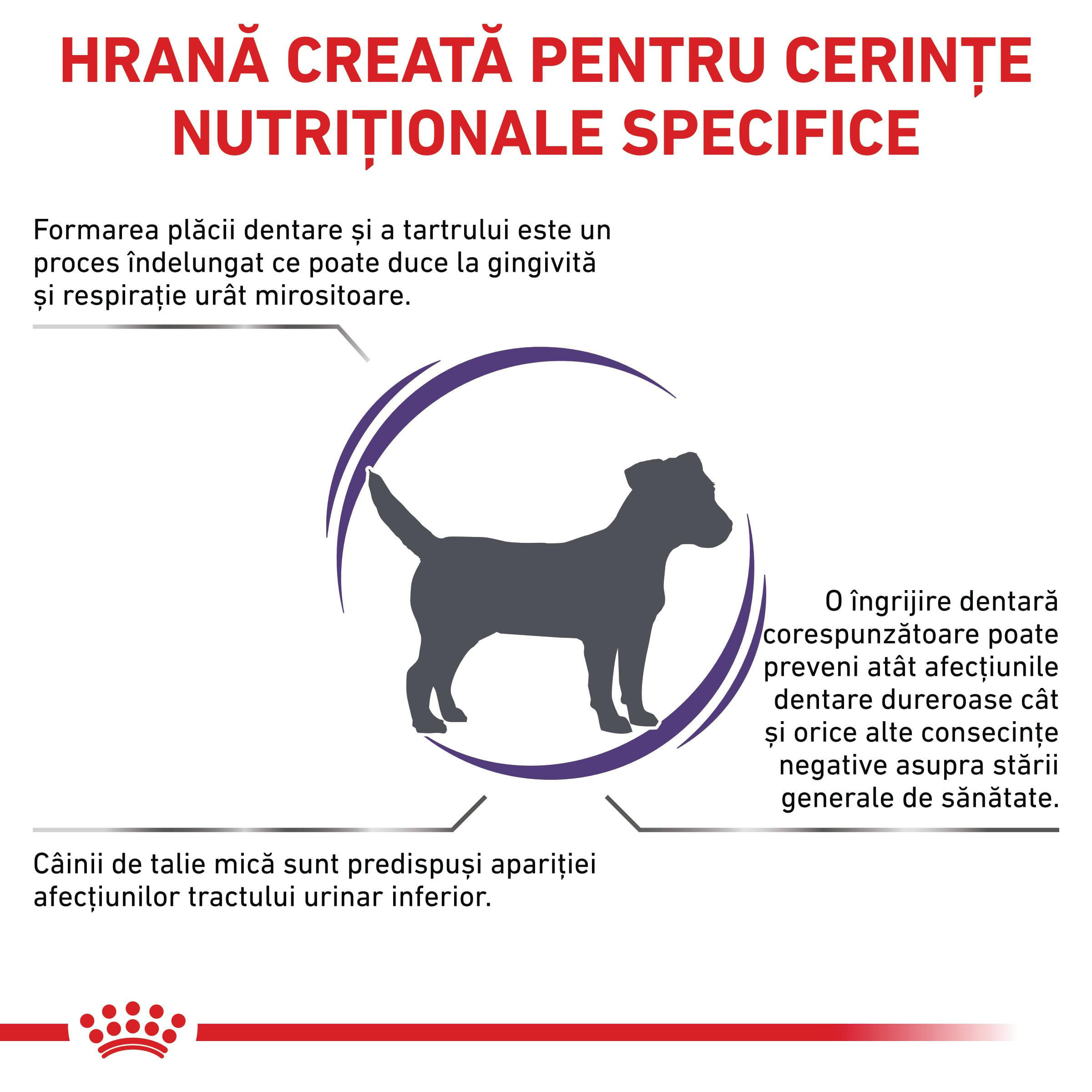 ROYAL CANIN VD Dental Small Dog, XS-S, dietă veterinară, hrană uscată câini, sensibilități dentare, 1.5kg