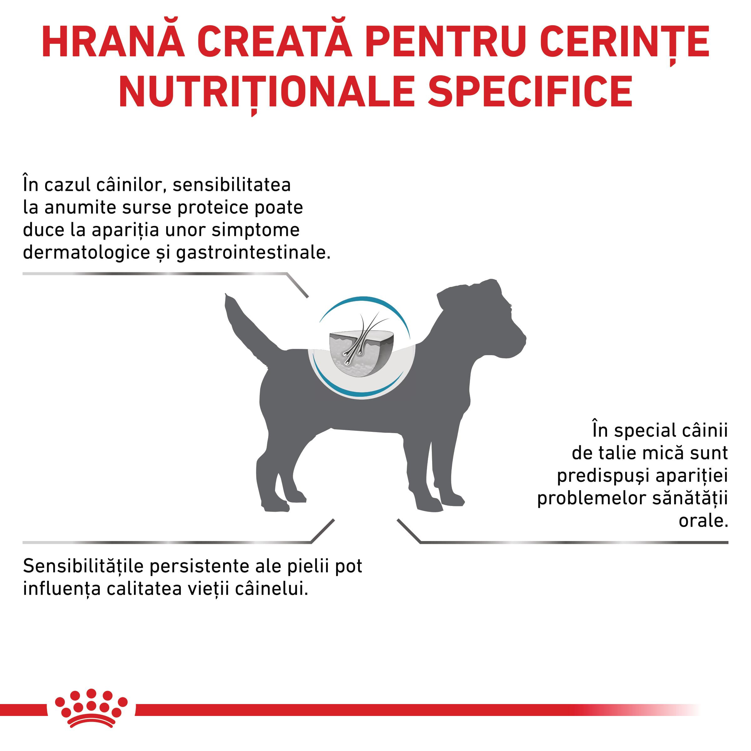 ROYAL CANIN VD Anallergenic Small Dog, XS-S, dietă veterinară, hrană uscată câini, alergii alimentare, 1.5kg