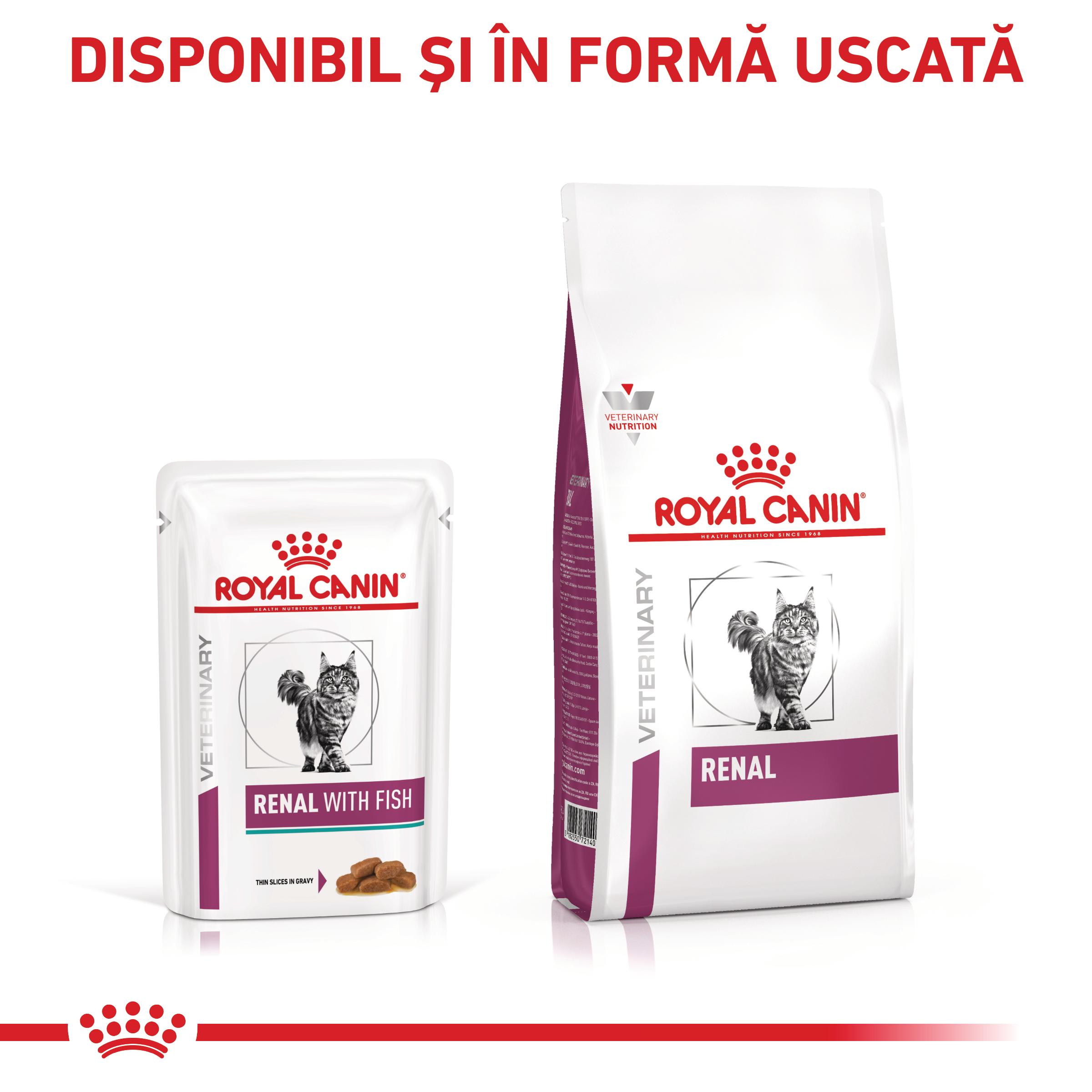 ROYAL CANIN VD Renal, Pește, dietă veterinară, plic hrană umedă pisici, sistem renal, (în sos), bax, 85g x 12buc