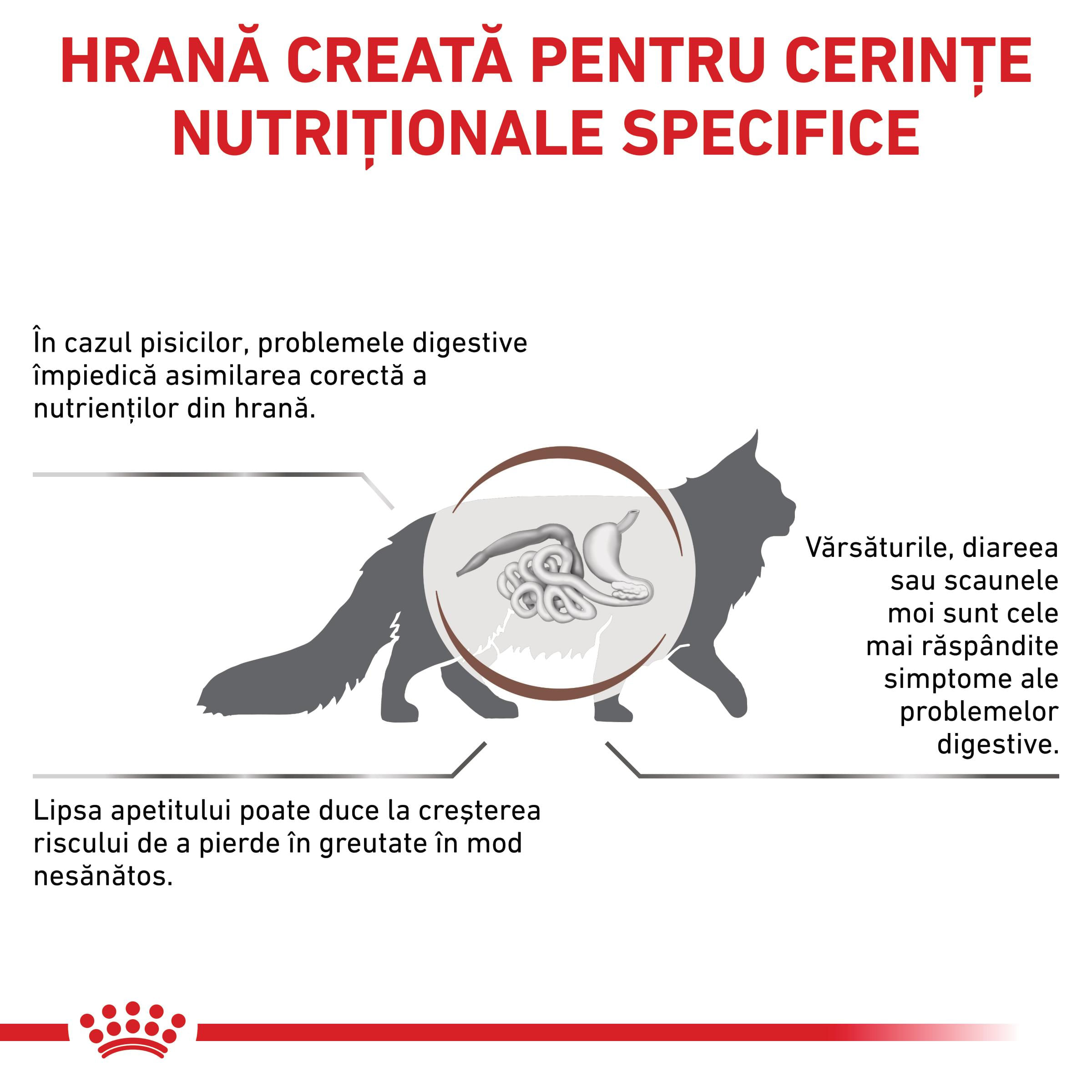 ROYAL CANIN VD Gastrointestinal, dietă veterinară, hrană uscată pisici, sistem digestiv, 2kg