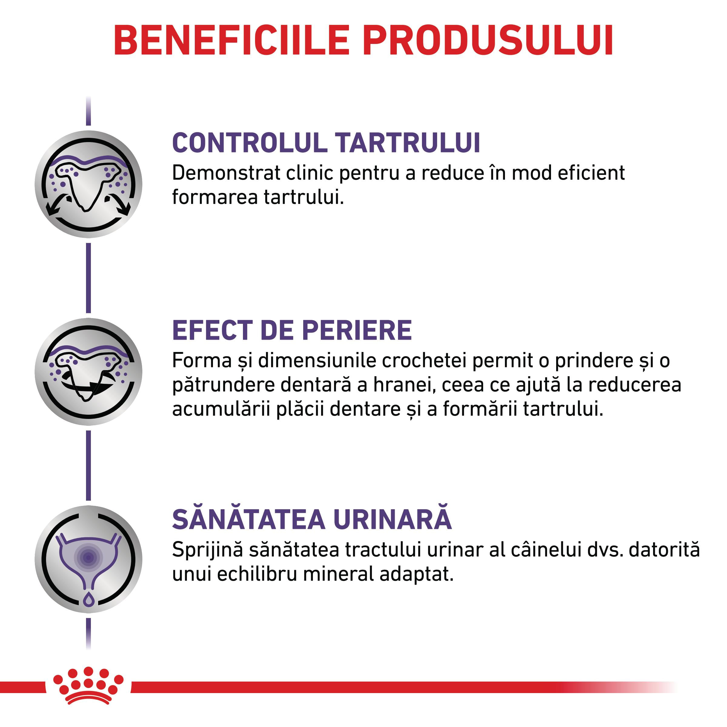 ROYAL CANIN VD Dental Small Dog, XS-S, dietă veterinară, hrană uscată câini, sensibilități dentare, 1.5kg